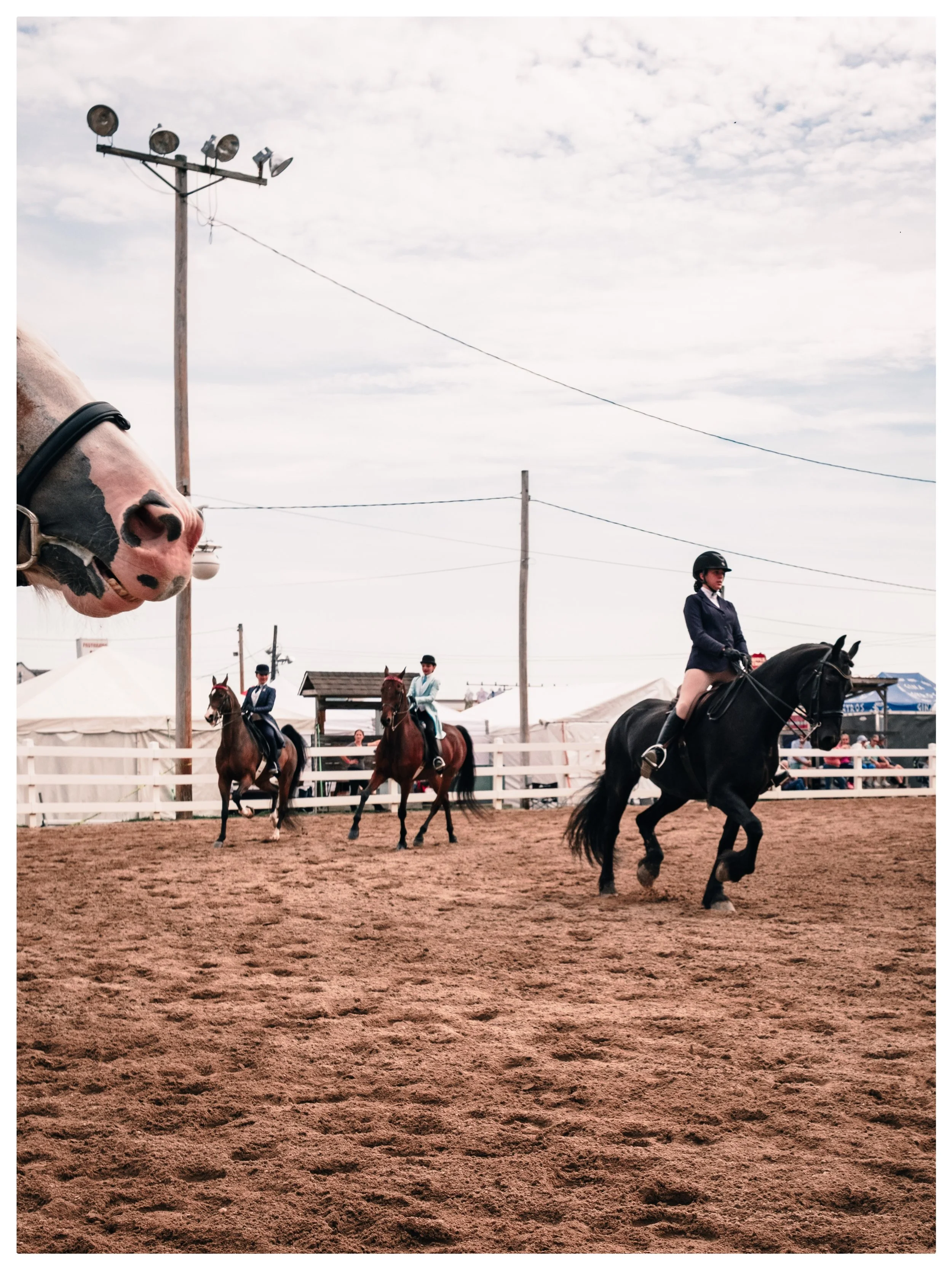 Deerfield Part II: The quieter side of the fairgrounds.

Spent a little time at the horse ring. I had no idea peacocking came so naturally to horses. 🐎 🦚 

📸 Fujifilm X-T5 @fujifilmx_us 🎞️ Provia 100F

#DeerfieldFair #NewEngland #HorseShow #Docum