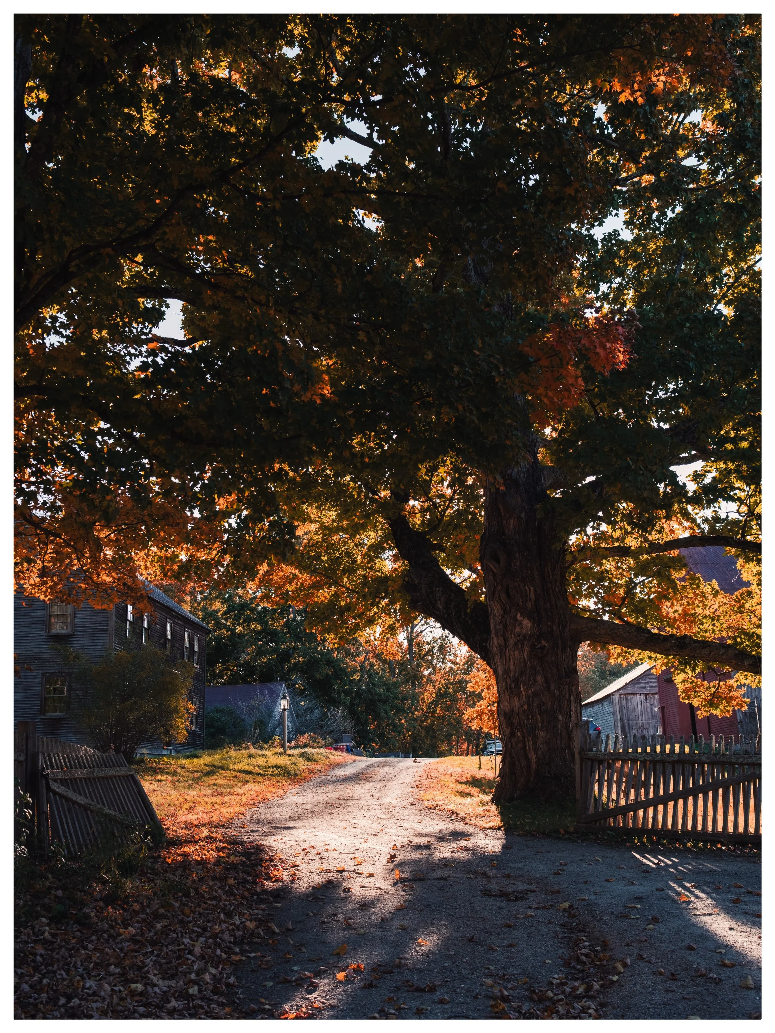 Took a drive around my hometown with no particular plan. October took care of the rest.

📷 Fujifilm X-T5
🎞️ Kodak Ektar 100

#FujifilmXT5 #FujifilmXSeries #NewEngland #AutumnInNewEngland #NewEnglandPhotography