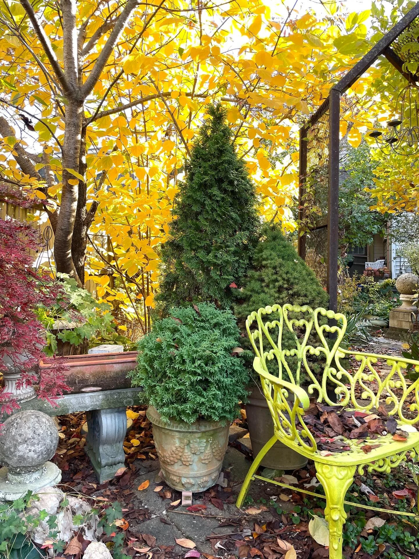 Delicious autumn! My very soul is wedded to it, and if I were a bird, I would fly about the earth seeking the successive autumns. -George Eliot

We&rsquo;re open today 12-5pm

#arabellahomeindy #neareastsideindy #autumn #fall #garden #gardening #gard