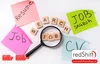 IT Job Hunting Hacks: Level Up Your Job Search — redShift Recruiting