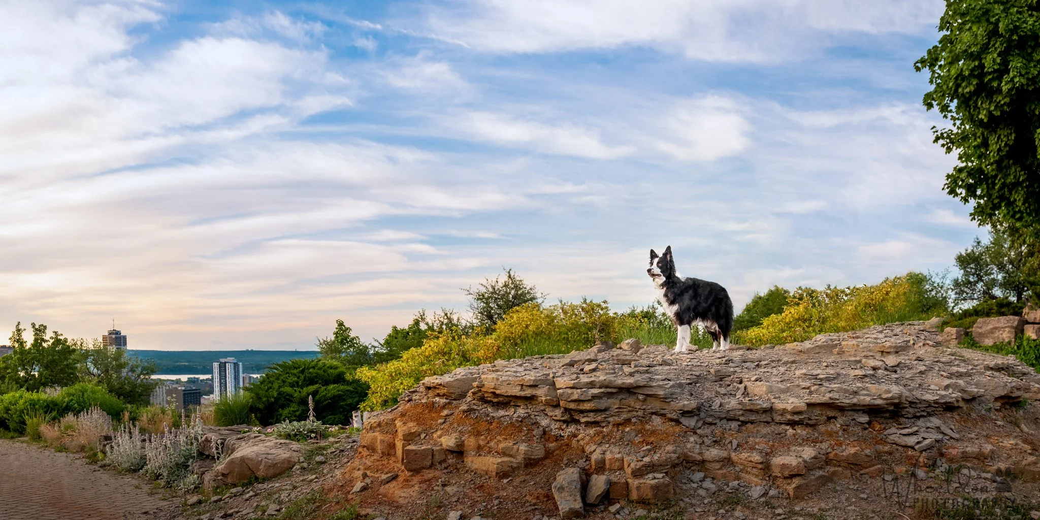 Showcase Special: Retro 30"x60" Canvas