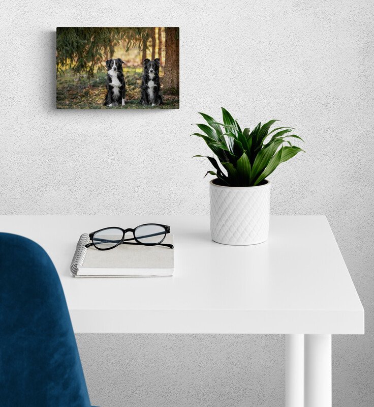 bright-minimal-home-office.jpg