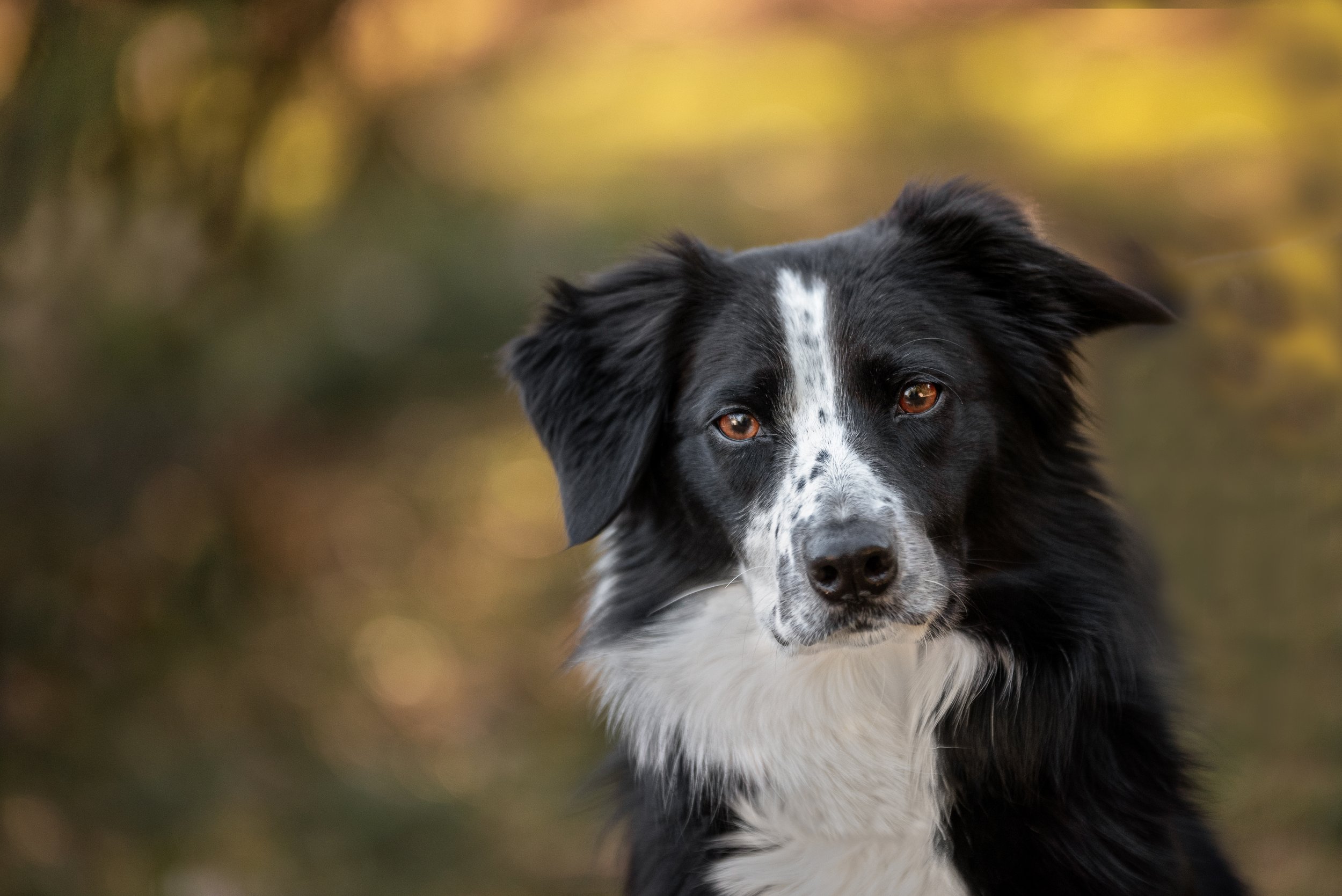 _CRW4255-Edit copy.jpg