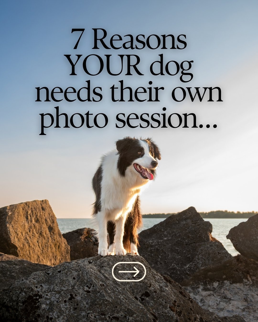 1.jpeg