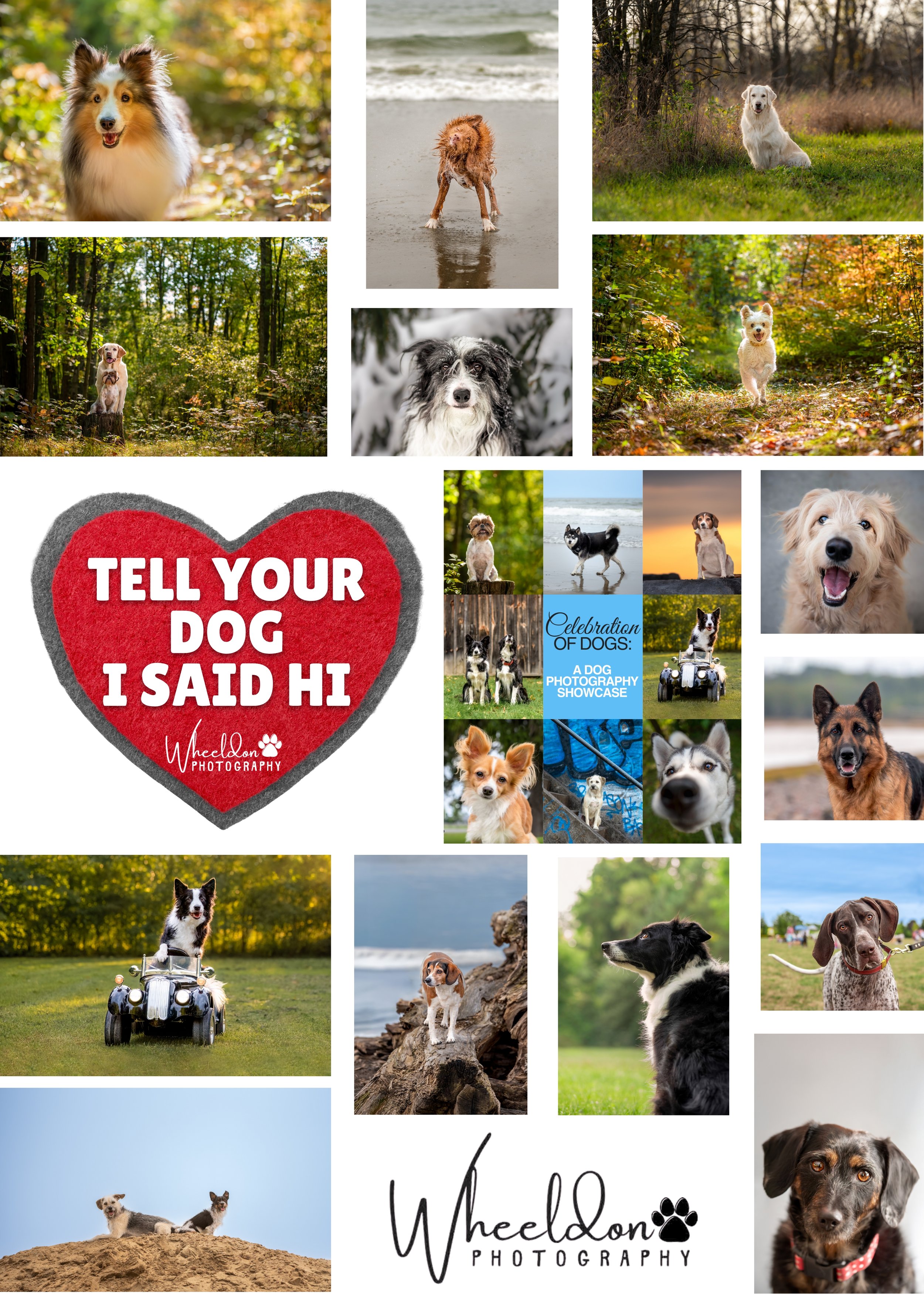 Sticker Sheet 5x7.jpg