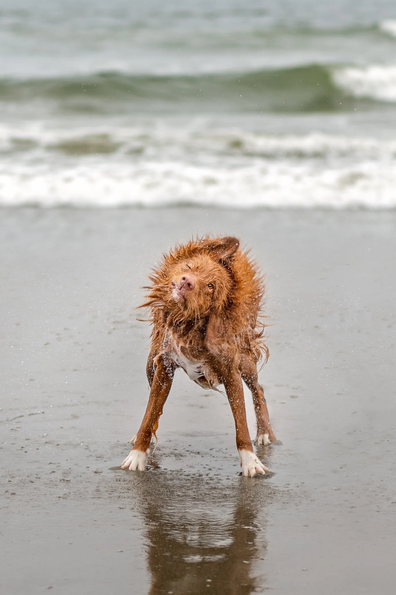 Splash - Cathie Wheeldon.JPG