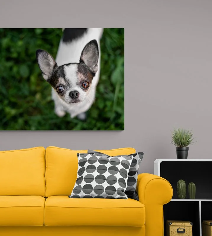 Showcase Special: Brooks 8"x12" Canvas Stand Out