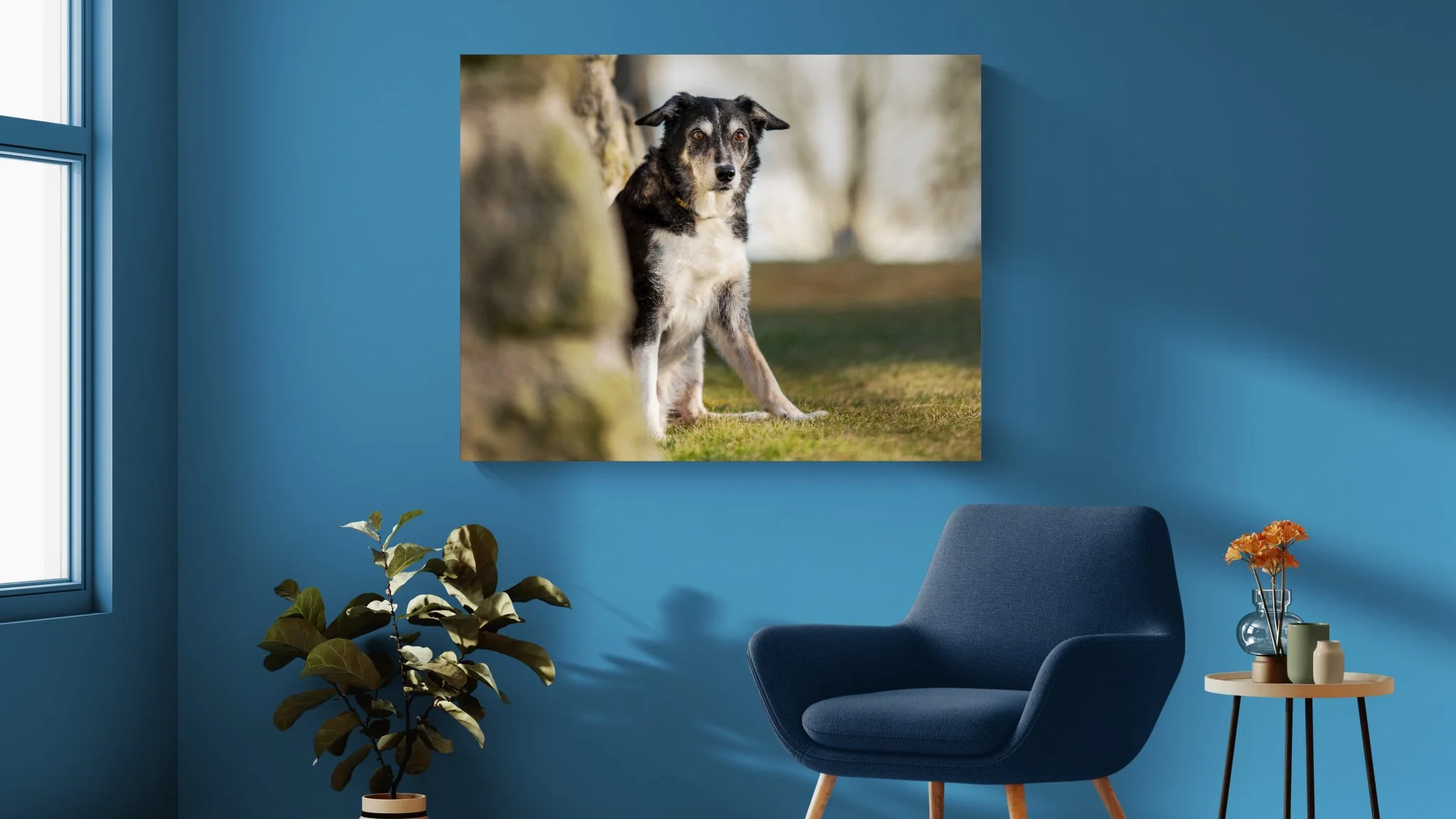 Showcase Special: Todd 16"x20" Canvas