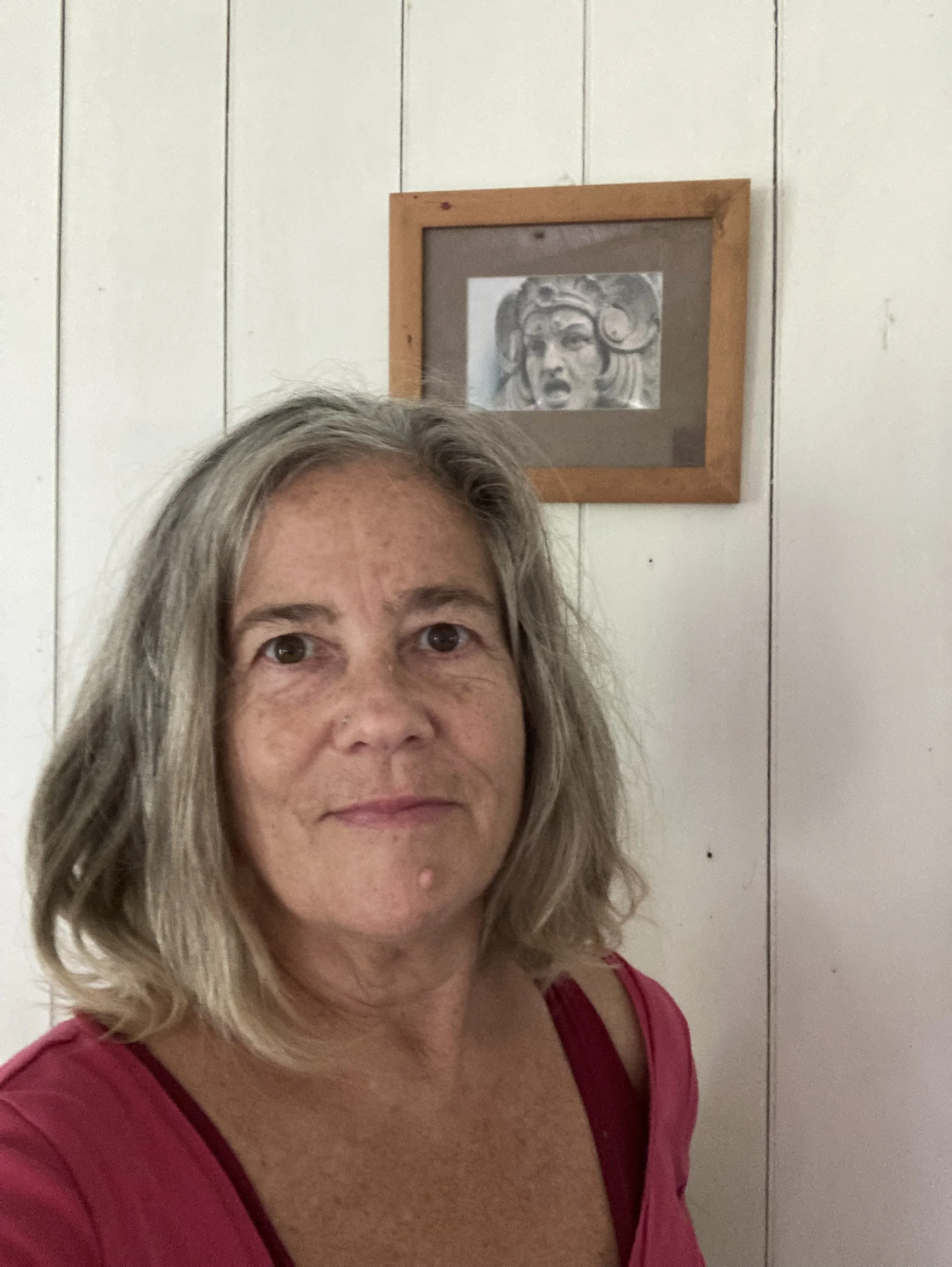 Michele Bevis