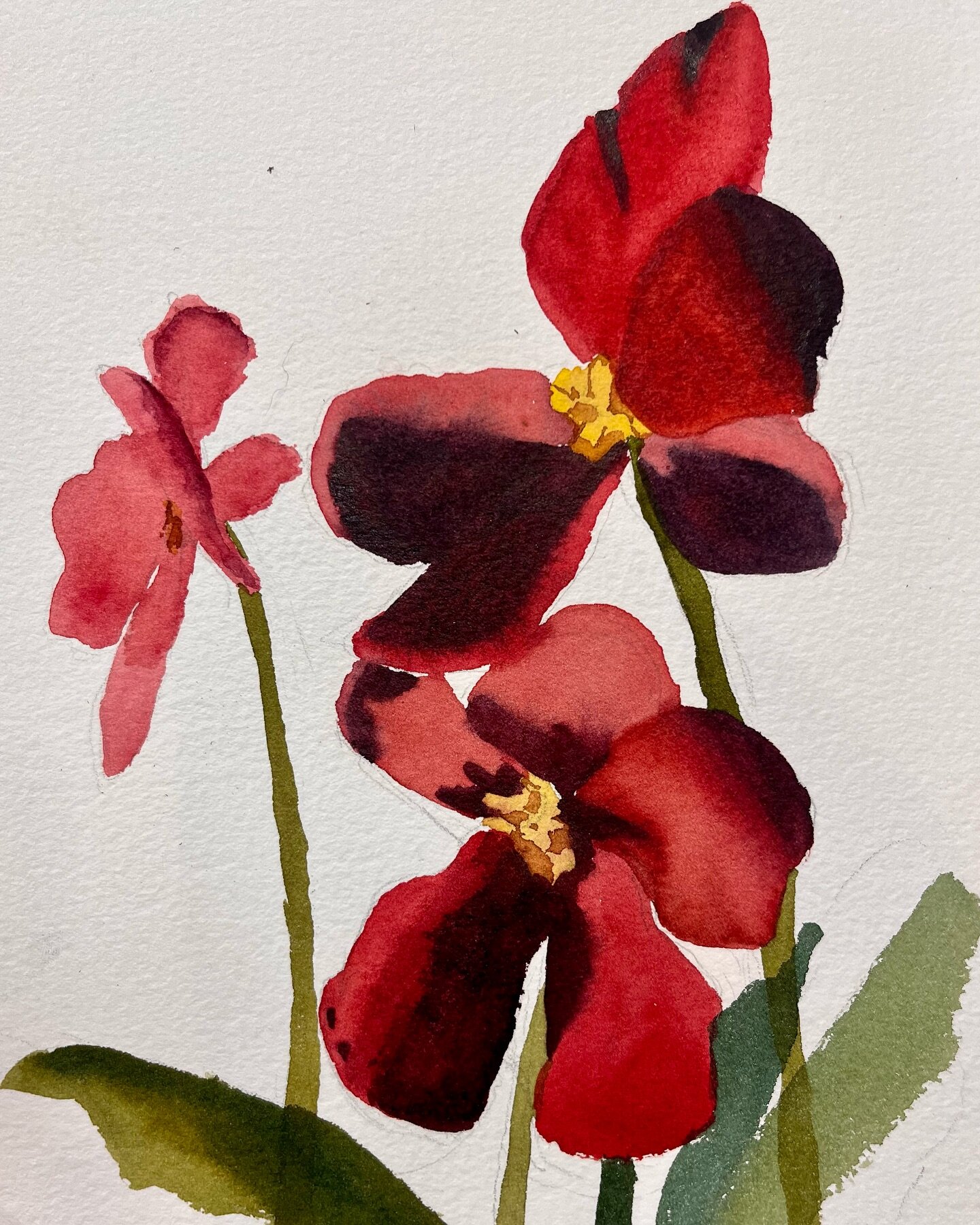 Small watercolour study currently on display at @mintarthouse as part of the Papercuts exhibition on display for the next two weeks and available for purchase 

watercolour on watercolour paper 
17x25cm 
$90