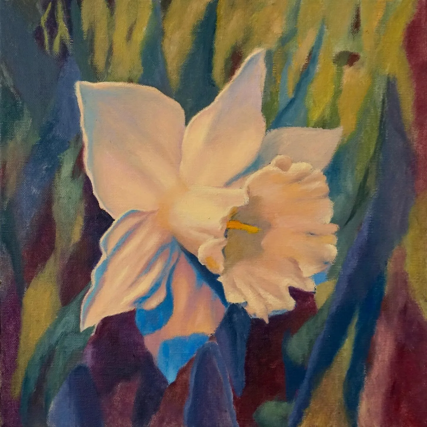 Another wild daffodil