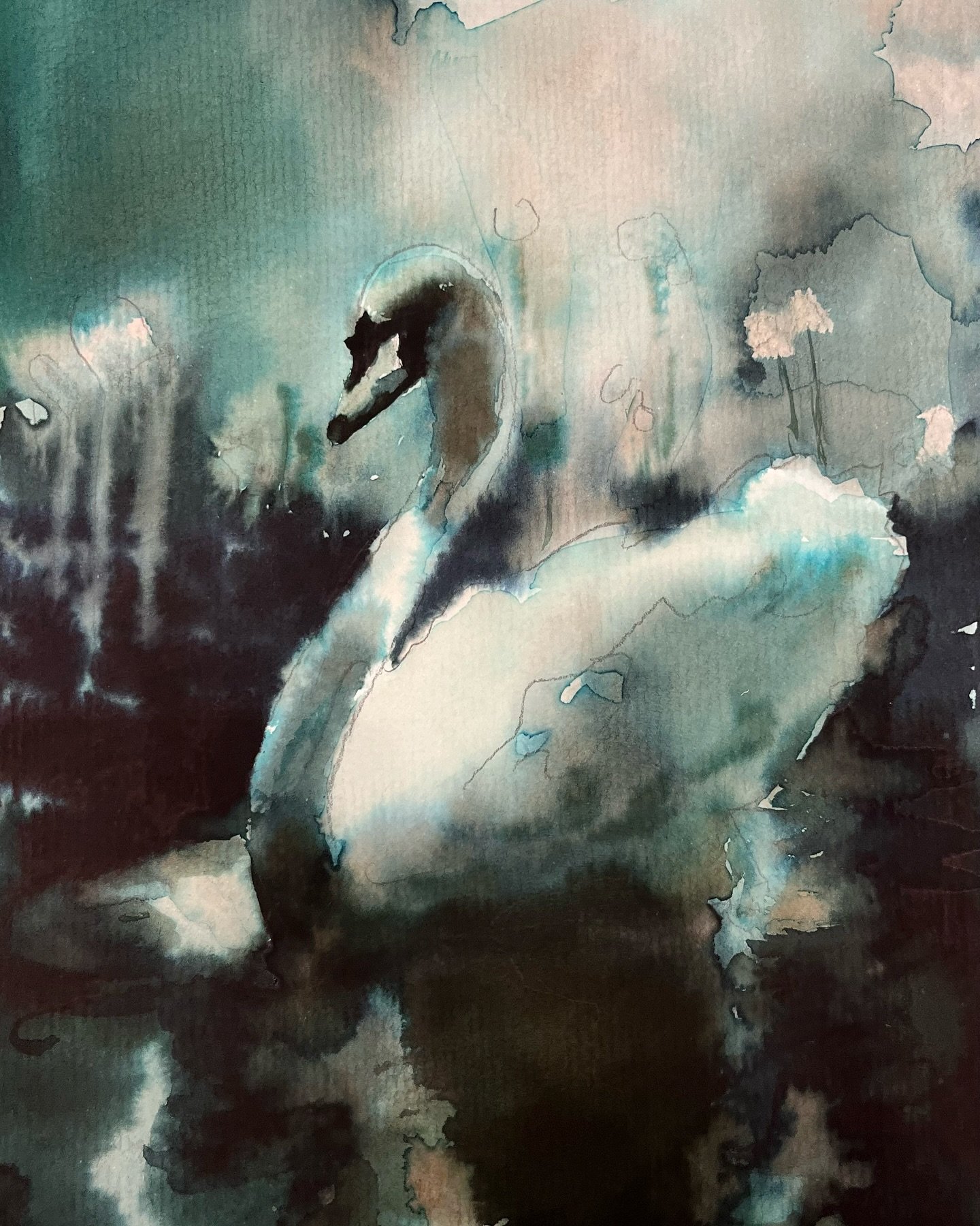 🦢