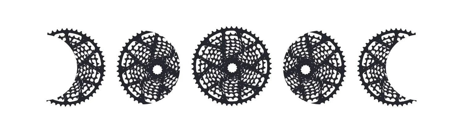 Moon (re)Cycles