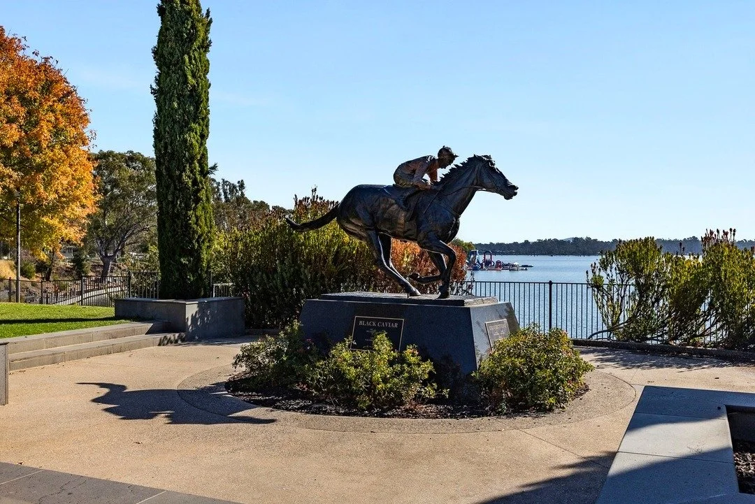 Postcard perfection🐎​​​​​​​​​​​​​​​​​​ Famous Black Caviar Statue, located right in heart of Nagambie.