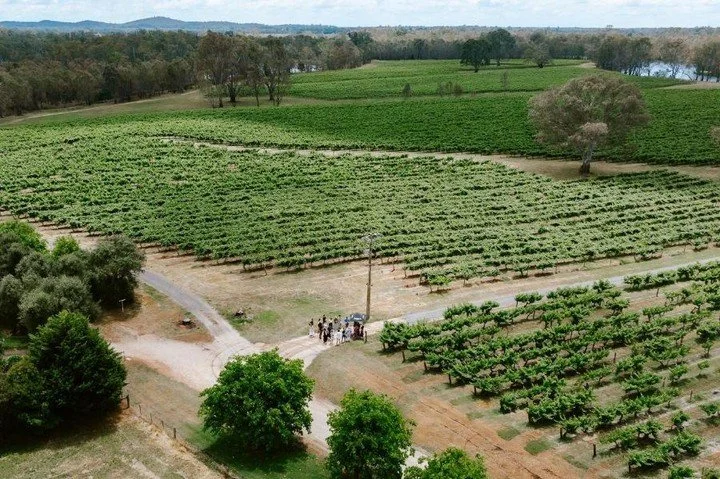 From Vine to Wine 🍇 Harvest Tour &amp; Lunch at @tahbilkwines with Winemaker Jo.

This immersive vineyard experience offers a rare opportunity to walk through the heart of Tahbilk during harvest and explore the stories, decisions and seasons that sh