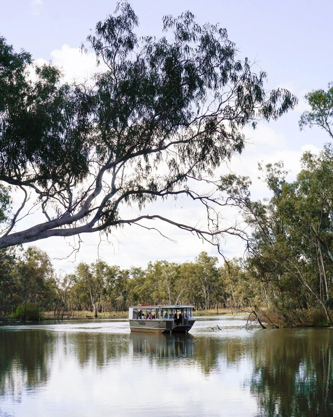 Experience the stunning @tahbilkwines wetlands with a FREE Eco Cruise on Sunday 22 March.

Settle in for a 45-minute leisurely cruise along the estate&rsquo;s peaceful waterways, drifting past majestic River Red Gums and flourishing wetland habitats.