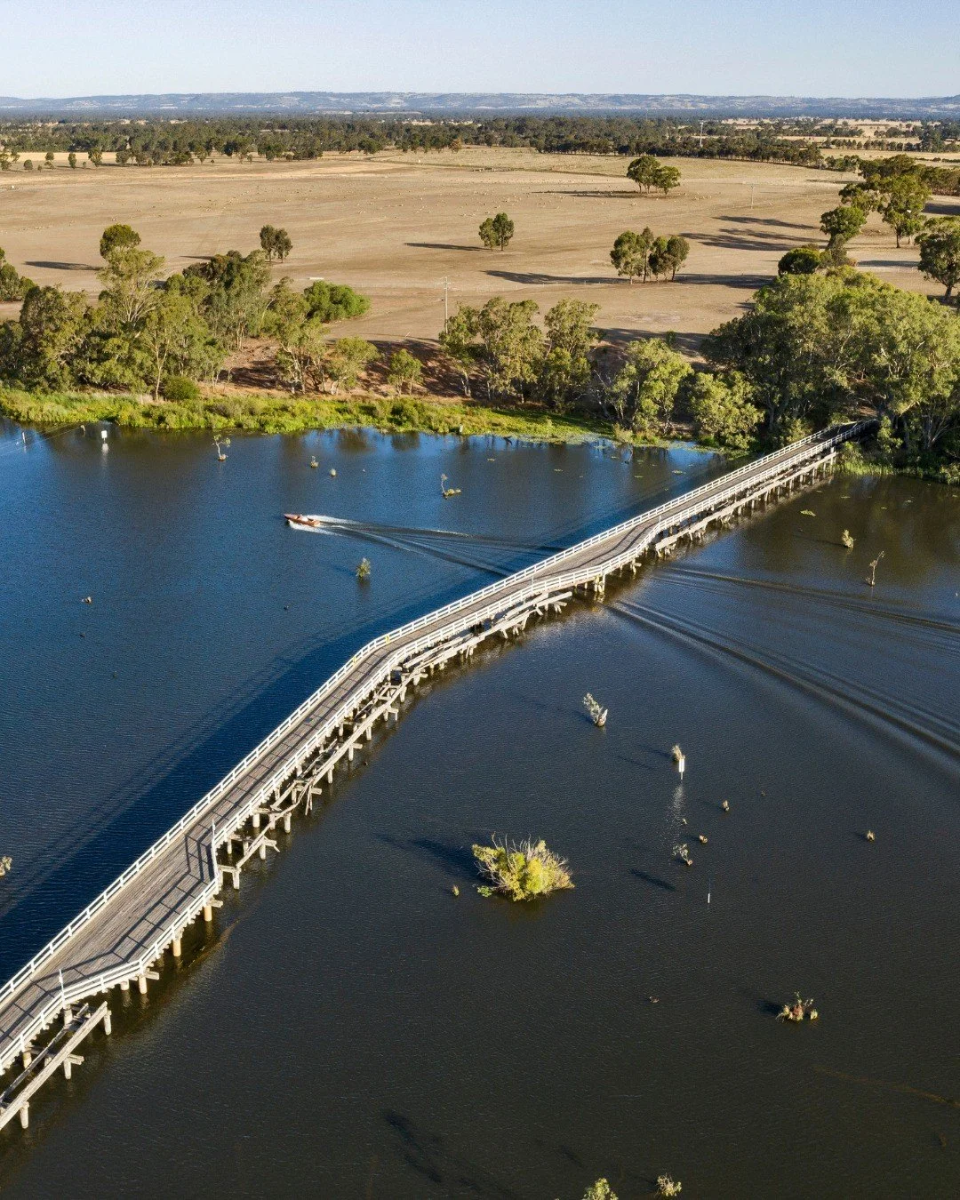 LOCAL NEWS // Kirwans Bridge Moves Forward.

The long-awaited restoration of Kirwans Bridge has taken an important step forward, with Strathbogie Shire Council approving a conditional $1 million contribution towards critical repair works.

Read more 