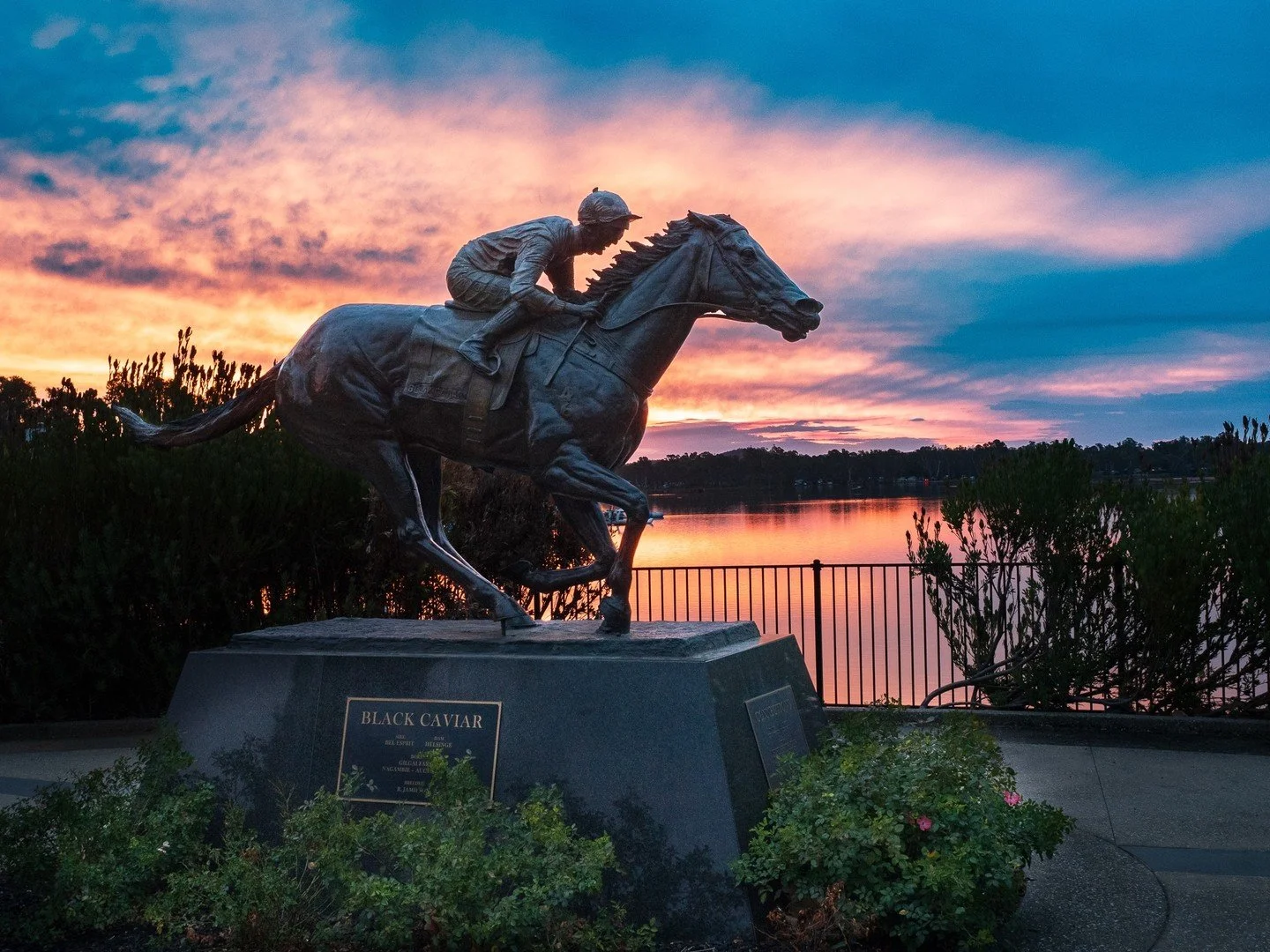 Black Caviar transcended racing to become a household name. Everybody, even if they didn't follow horseracing, knew who Black Caviar was. In 2012 she was named 'Sportswoman of the Year'; she graced the front cover of Vogue and met Queen Elizabeth 11.