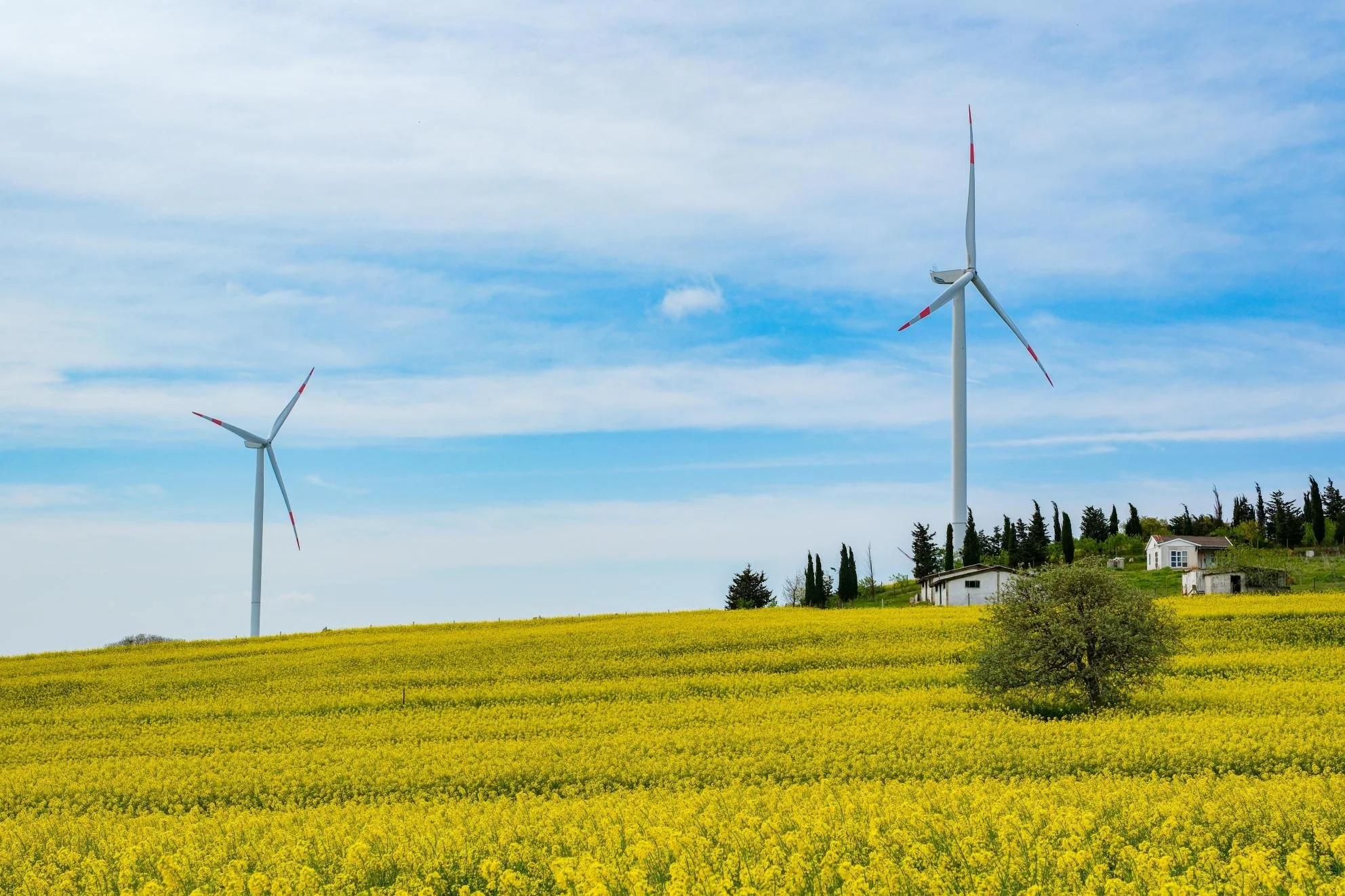 Wind turbines and clean-energy landscape featured in Bianca Bittencourt and Tom Vasseur’s EUSEW opinion article