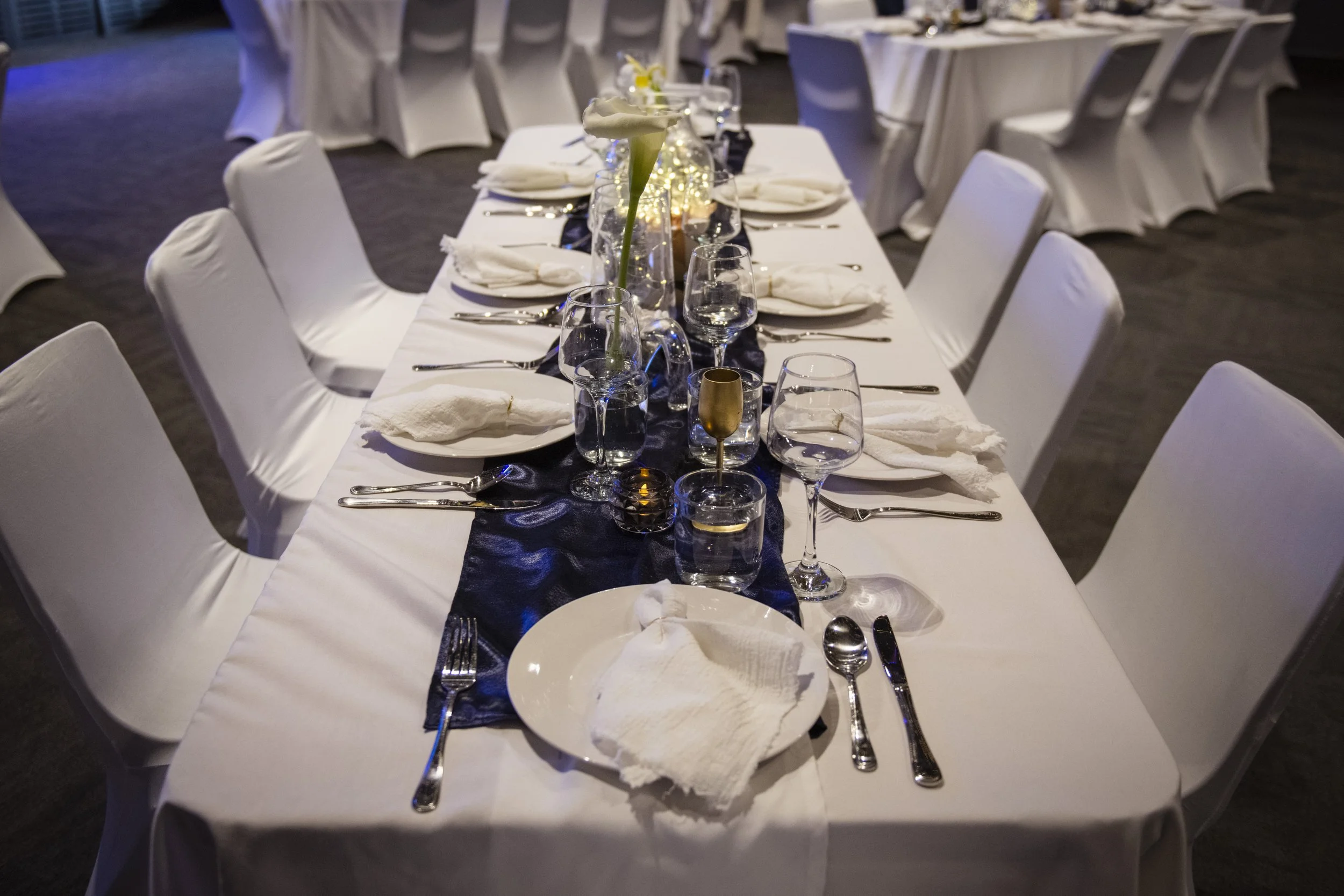 Dining for a Difference-8500373.jpg