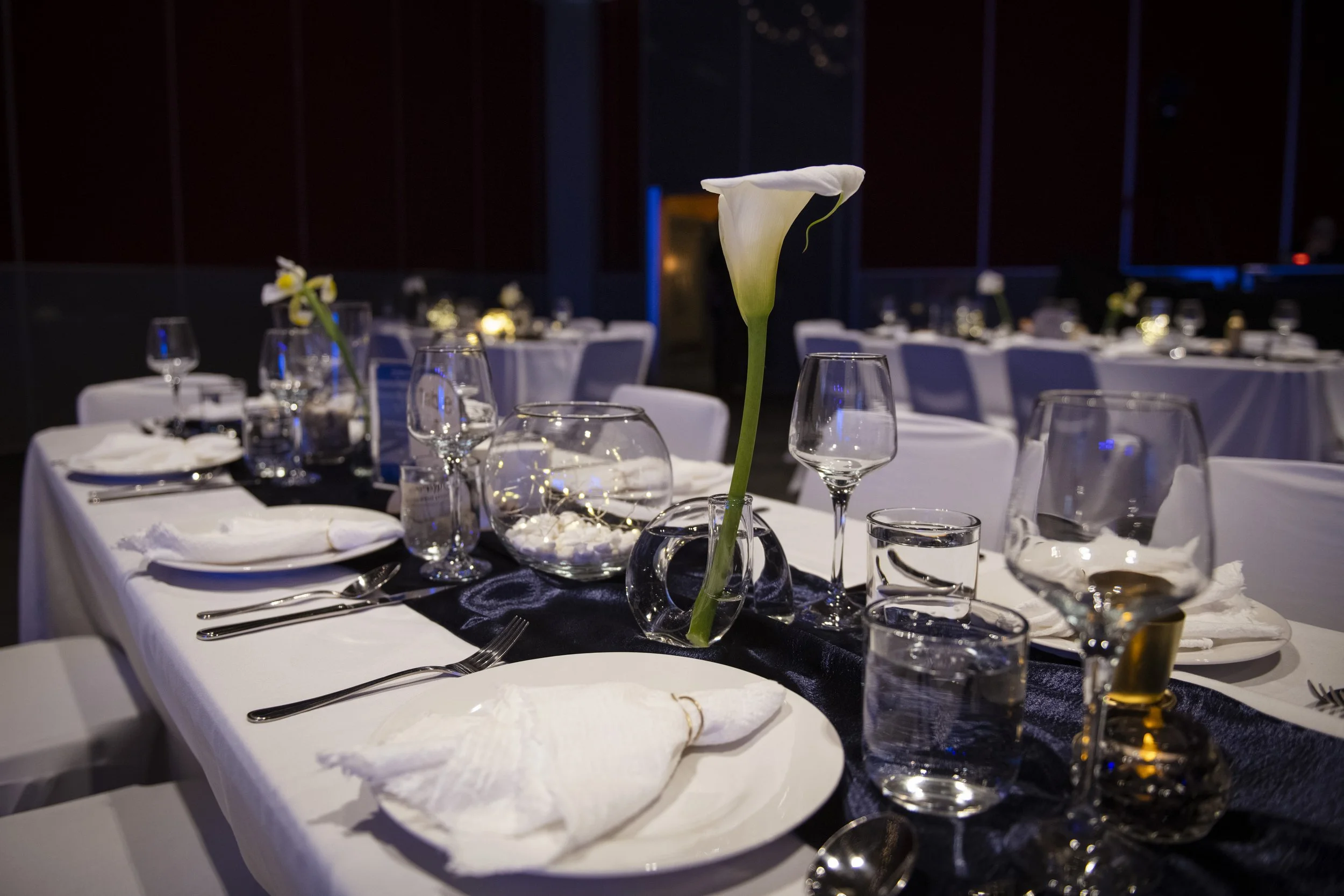 Dining for a Difference-8500368.jpg