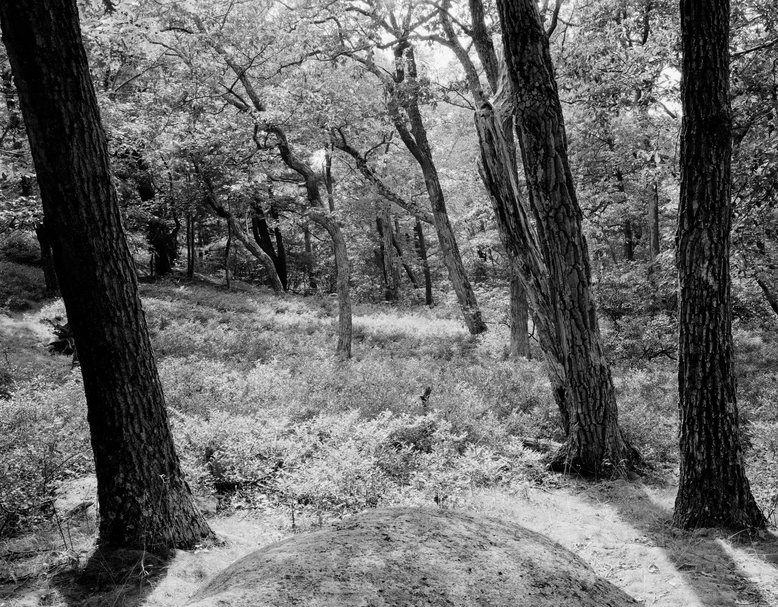 bear mountain, new york