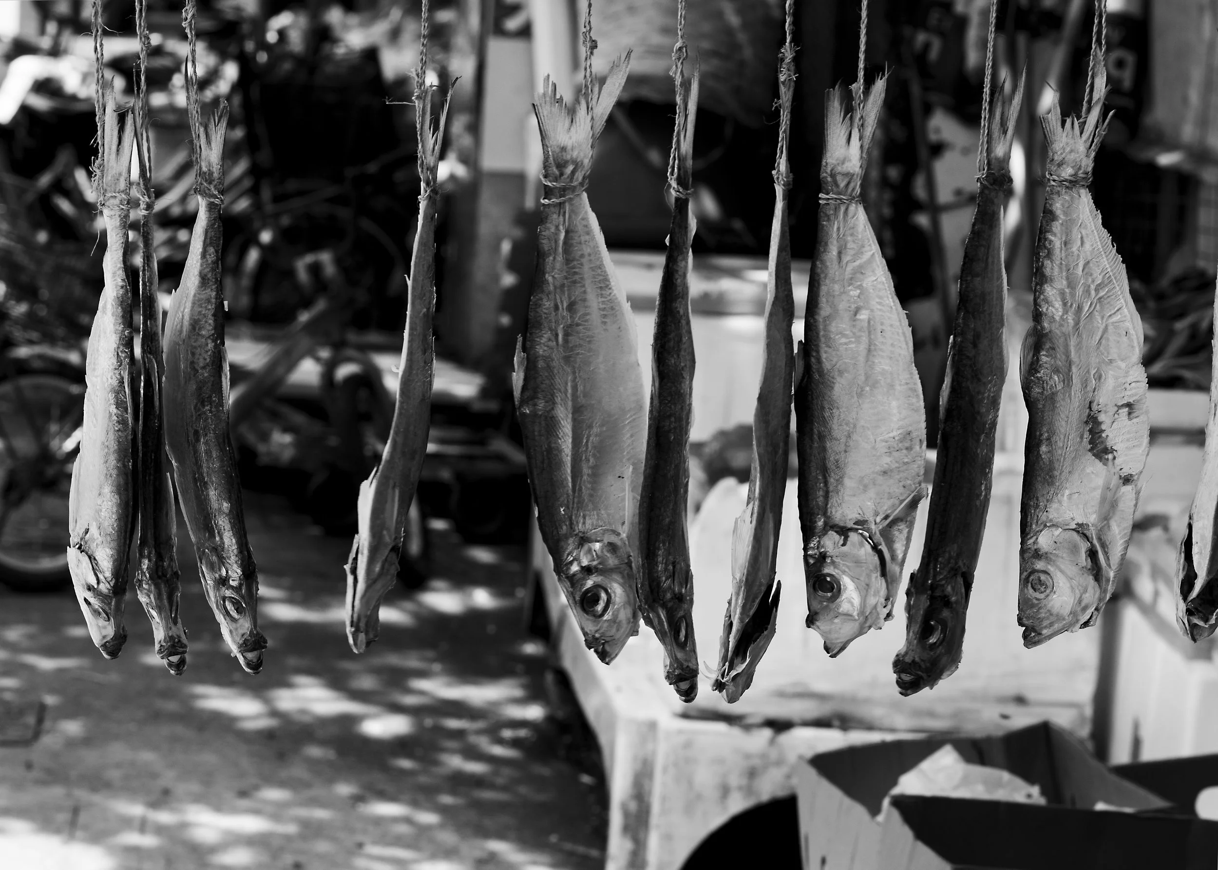 Tai O Fishing Village