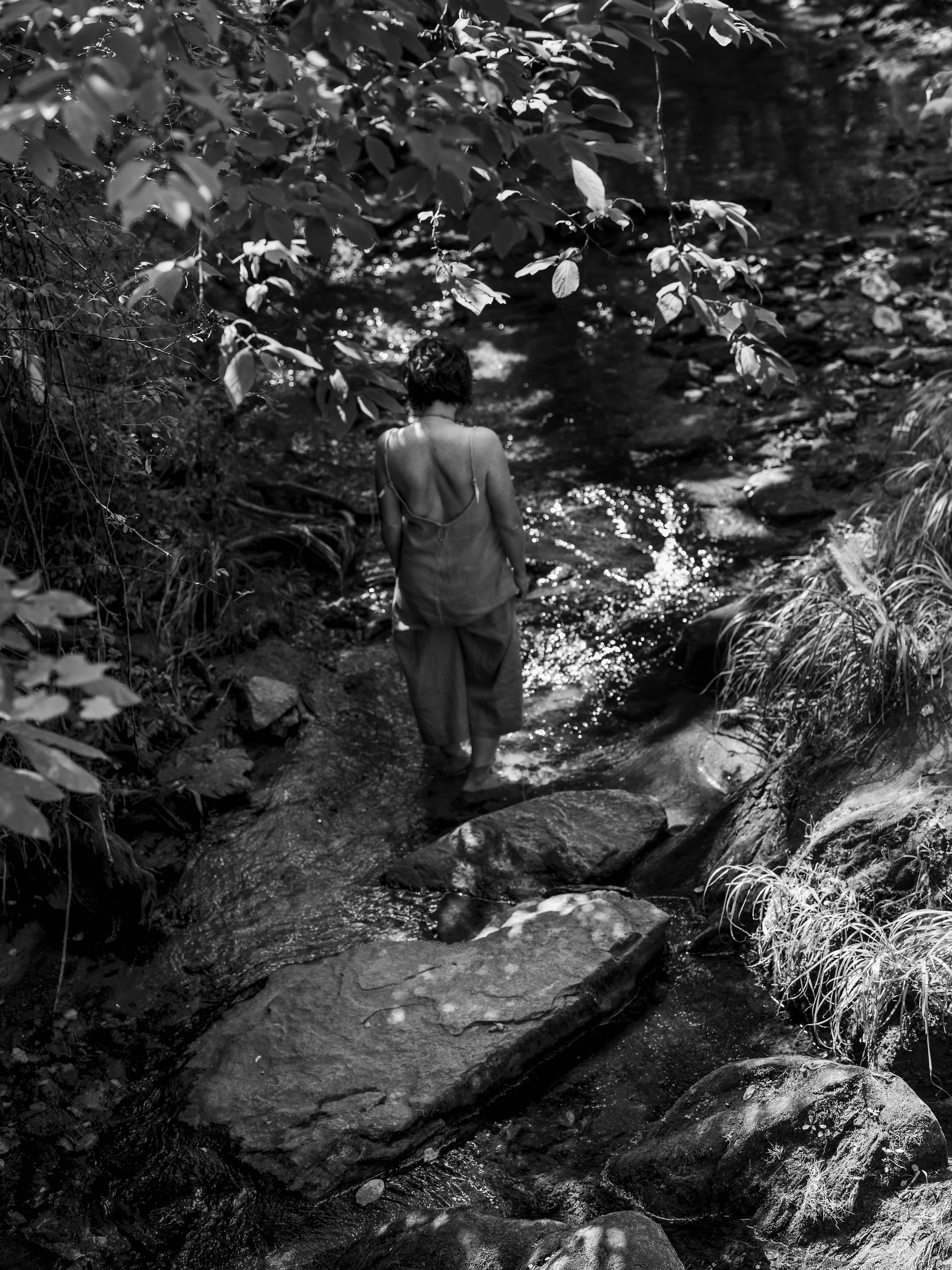 A person standing in a shallow stream surrounded by dense foliage and rocks in a natural setting.