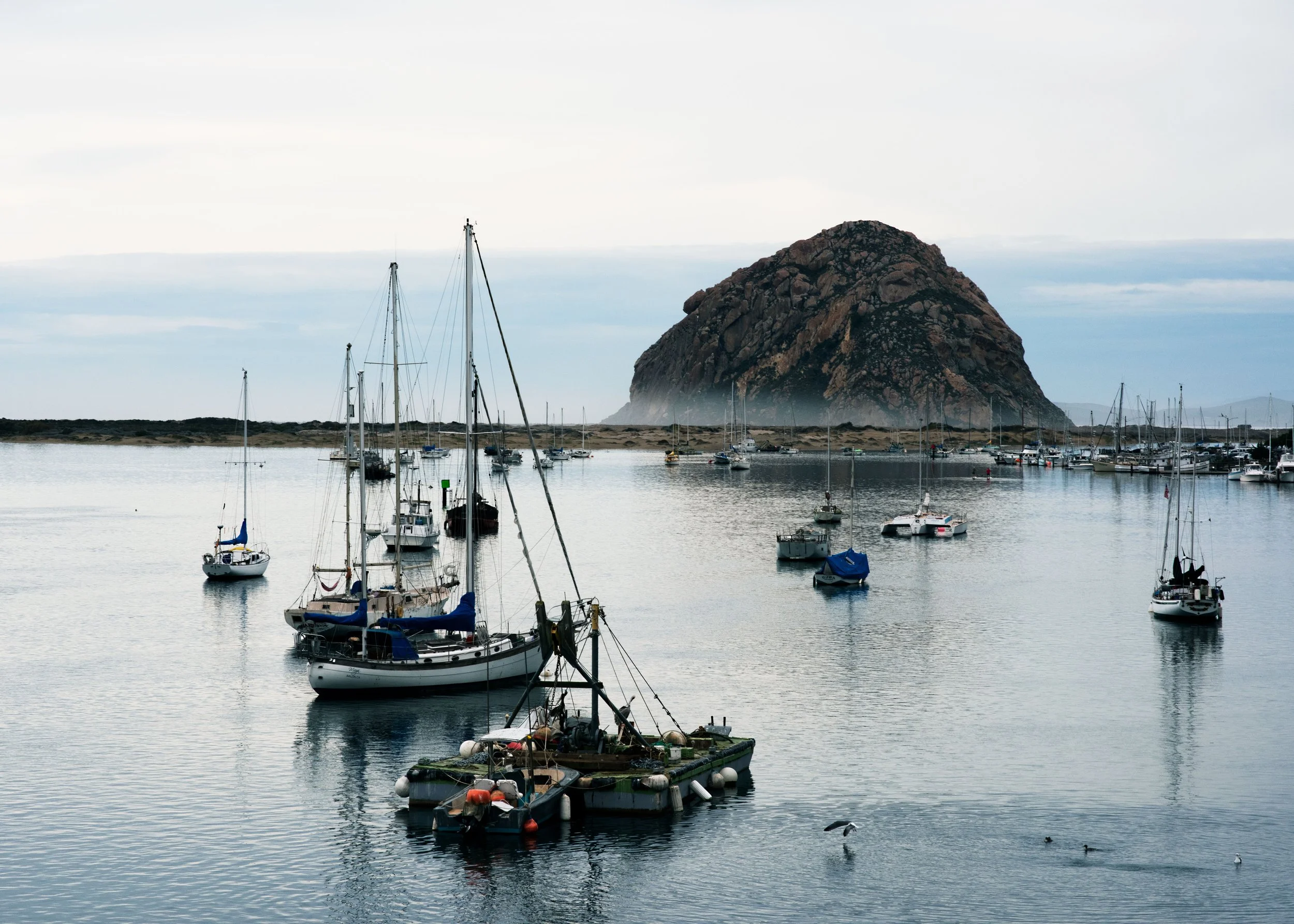 morro rock, morro bay, california