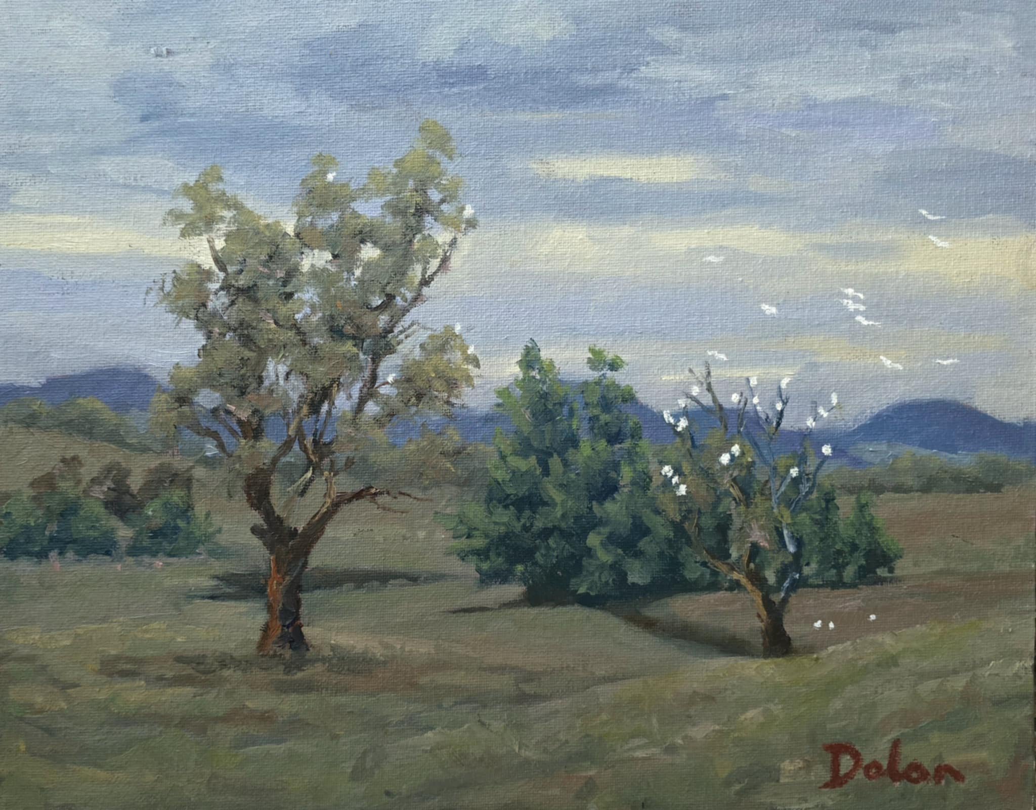 'Goonoo Goonoo Station' en plein air 10"x14" $500 AUD unframed