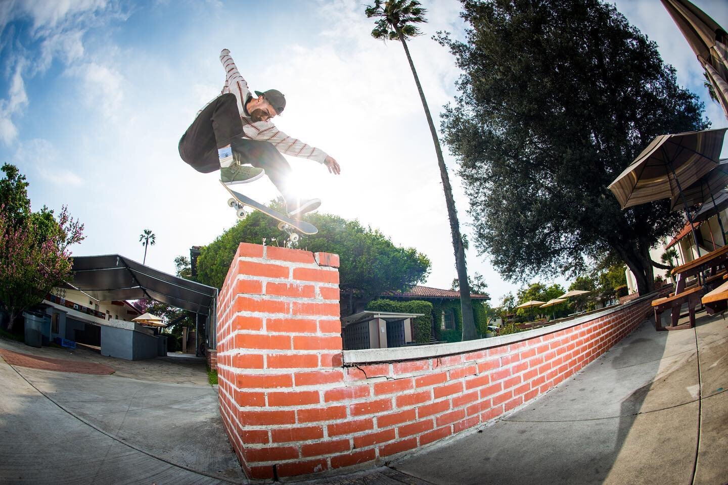 Christian Maalouf, fakie flip 2016 @chomponchris