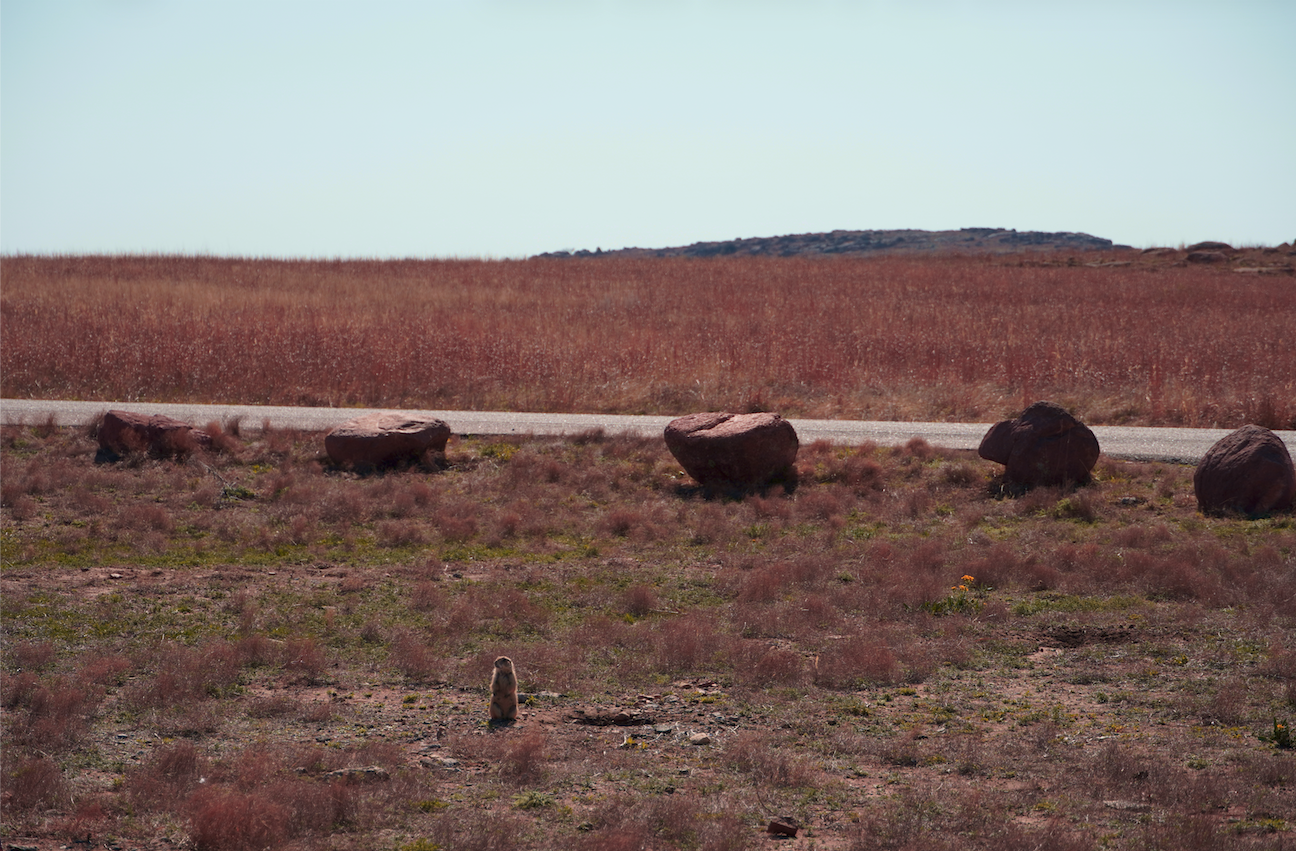 Screenshot 2026-04-15 at 10.07.46 PM.png