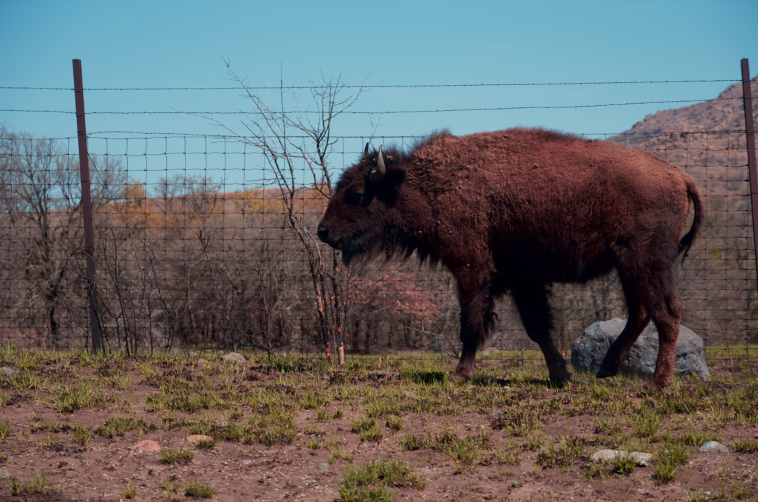 Screenshot 2026-04-16 at 11.16.46 AM.png