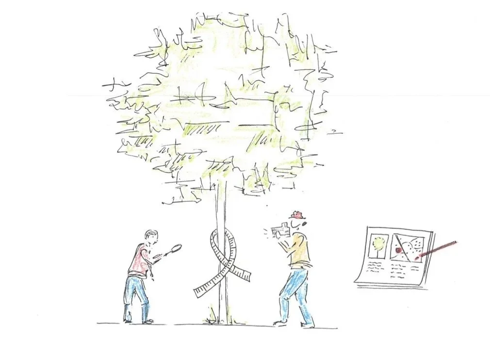 Recensement des arbres d’importance cantonale - Vaud