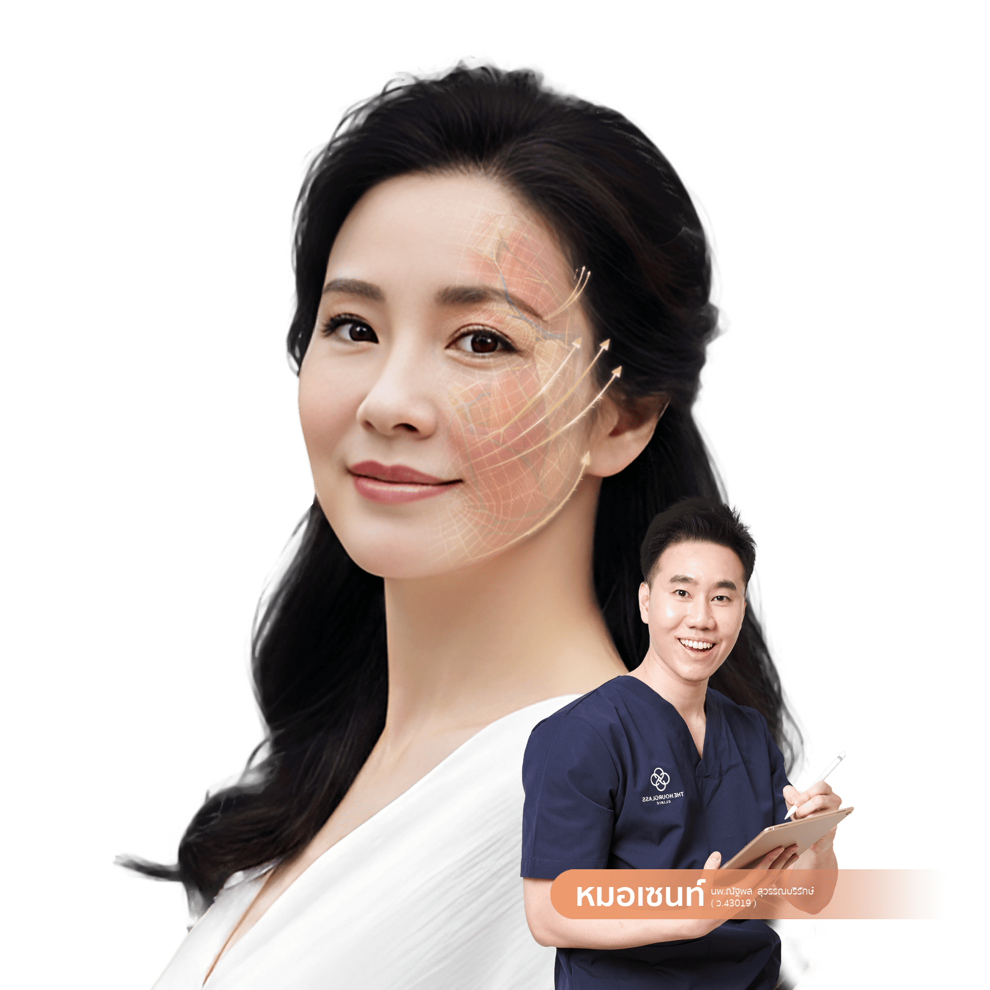 ภาพกราฟิกแสดงเทคนิคการร้อยไหม THC Lock โดยหมอเซนท์ (นพ.ณัฐพล สุวรรณบริรักษ์) ที่ The Hourglass Clinic เน้นการออกแบบเวกเตอร์เพื่อยกกระชับชั้น SMAS และล็อคตำแหน่งไขมันตามหลักกายวิภาคใบหน้า