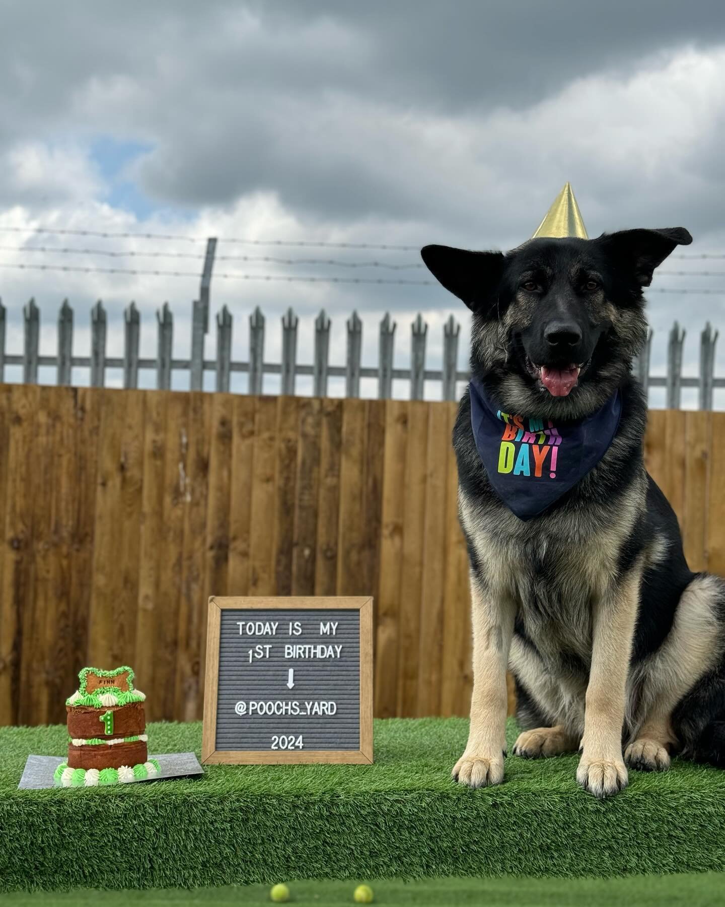 We have two birthday boys in the house today!
&mdash;
Finn turned one yesterday but it unfortunately landed on a bank holiday so therefore we just had to celebrate it today! He brought treats for his friends, there was cake, bubbles, balls the whole 