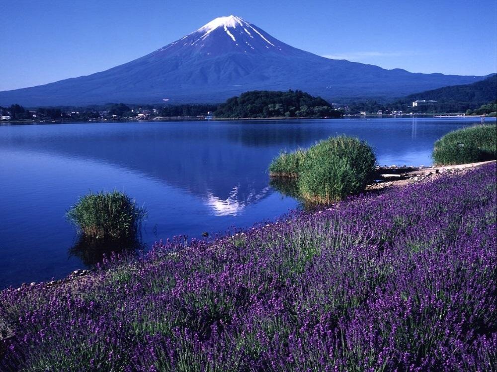 Остров хонсю 5 букв сканворд. Гора Фудзияма Хоккайдо. Озеро сай гора Фудзияма Япония. Пять озер Фудзи, Япония. Озеро Кавагути, гора Фудзияма, Япония.