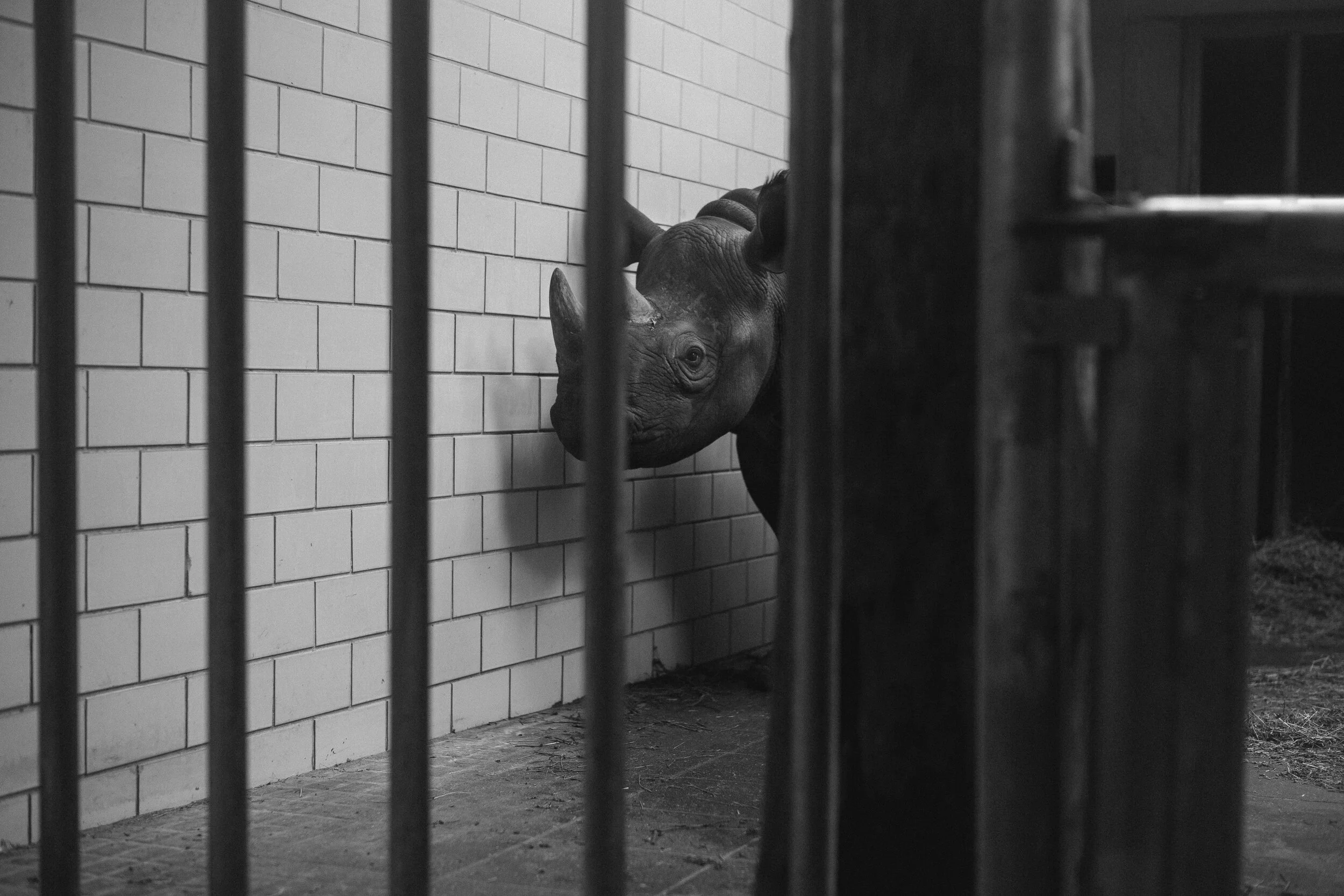 berlin_zoo_02.jpg