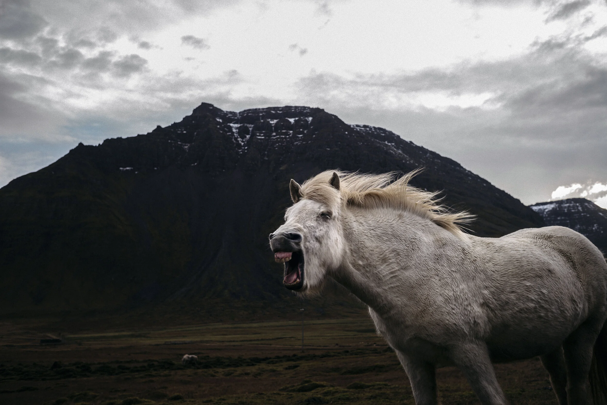 njp_iceland_12.JPG