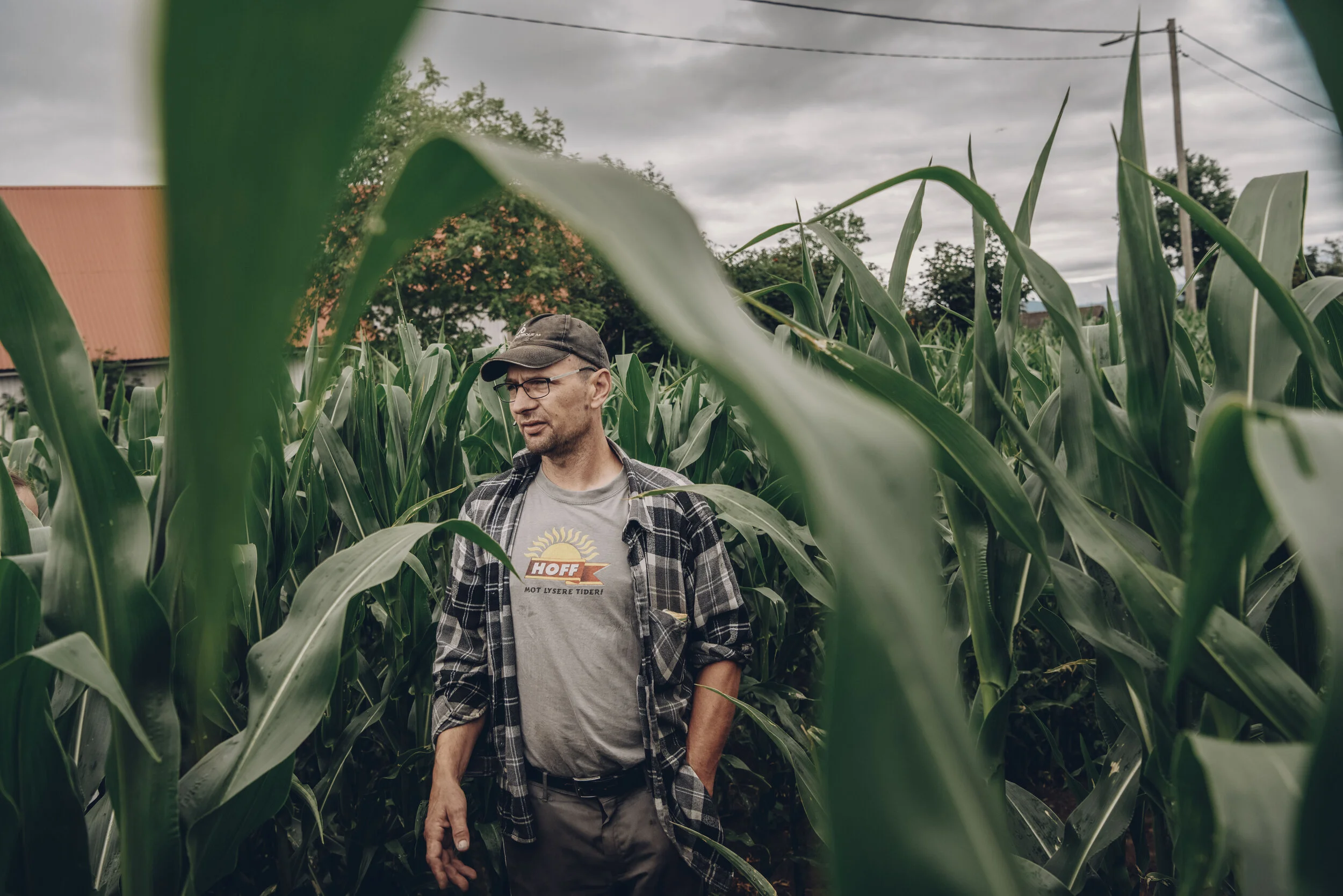 bonder_torke_18__TE24549015.jpg