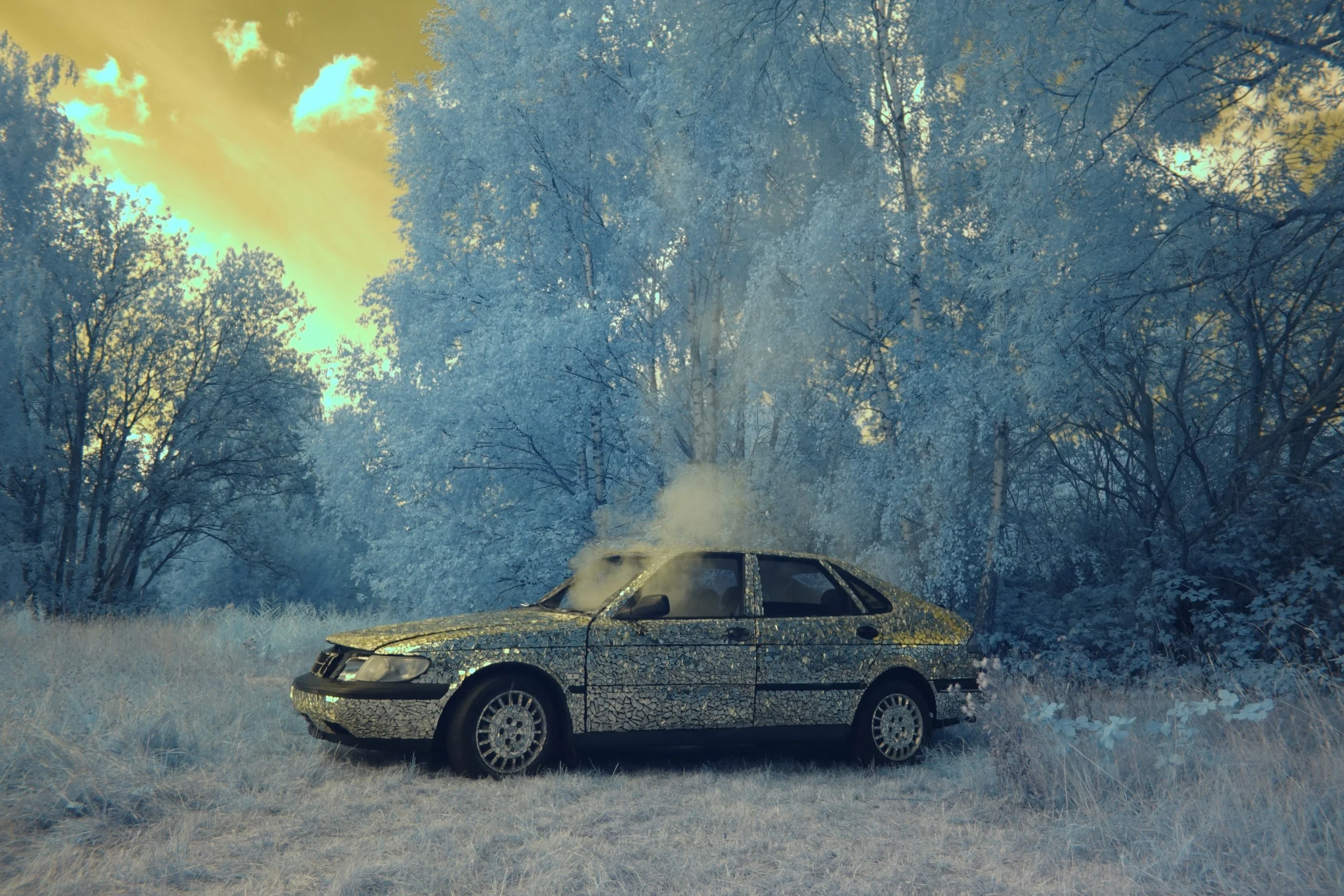 Sasha Gold, Why not? Everybody's darling, Saab 900, infrared