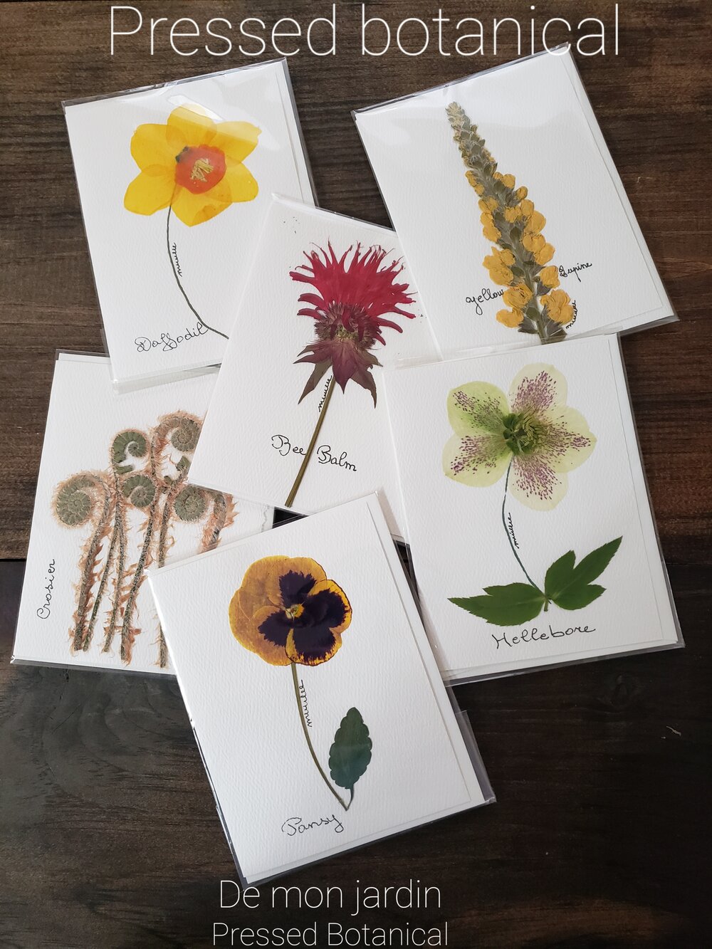 Pressed Flower Cards — Copper Tail Farm