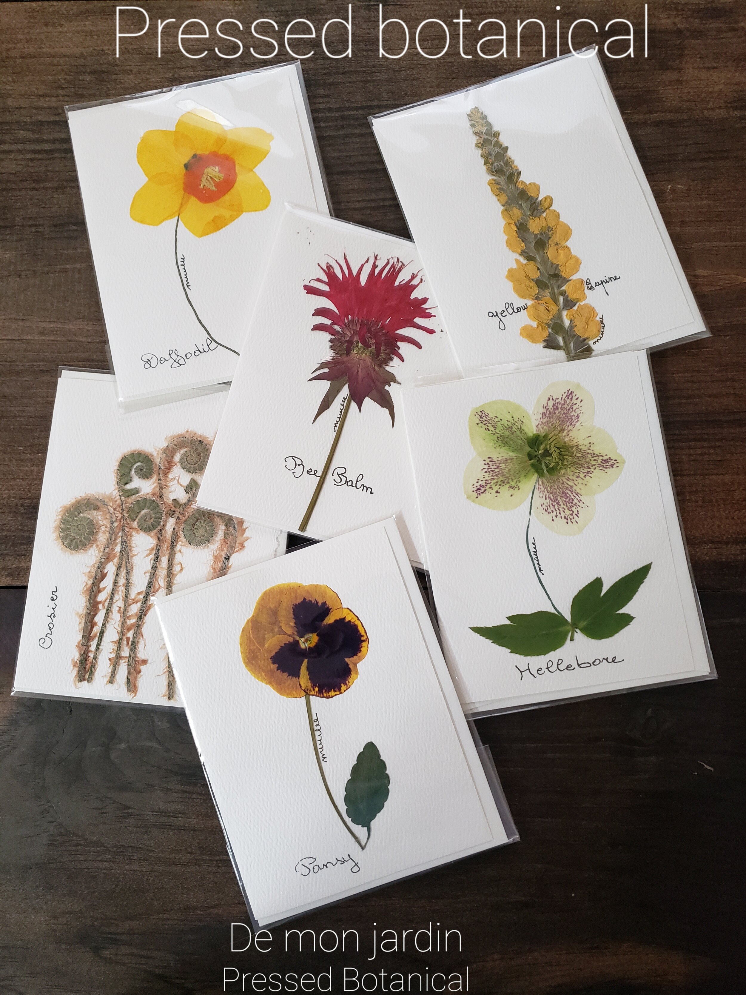Pressed Flower Cards
