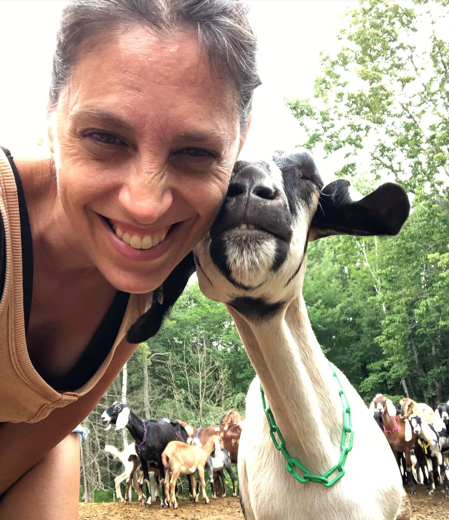 Selfies with my bestie. #poischiche #firstgoat