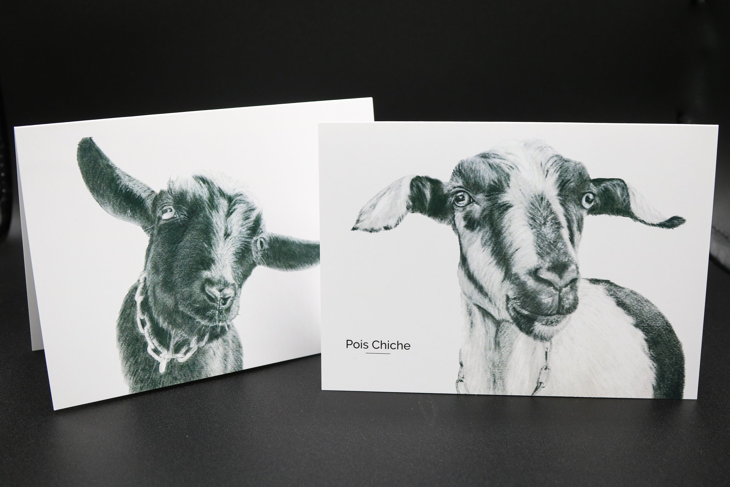 Notecards Tati PoisChiche.jpg