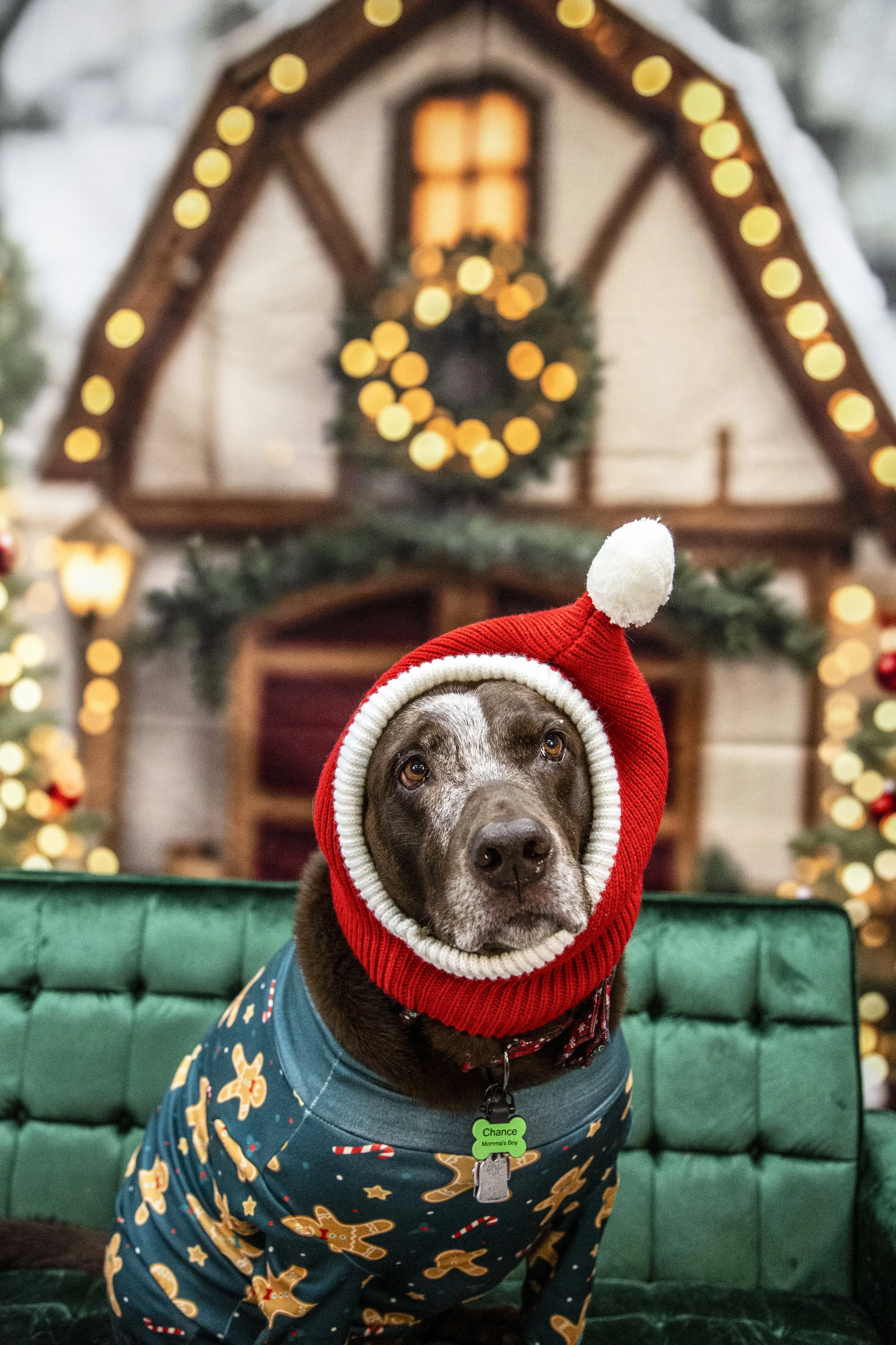 2C5A4294Roo Santa-EricaTorelli.jpg