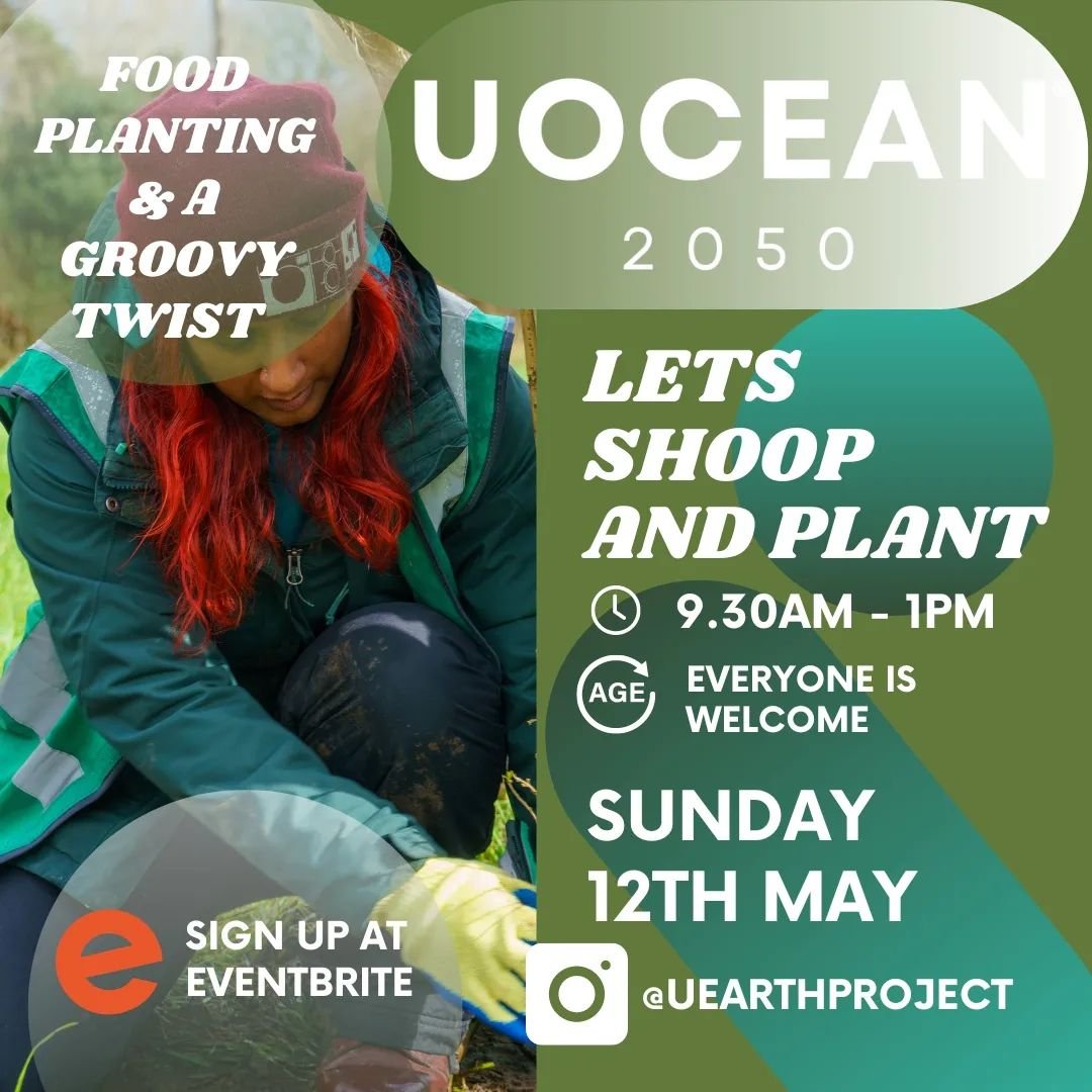 Are you ready for NEXT Sunday?

We will start creating the beds from the designs our volunteers chose but we also have an amazing Groovy twist suprise.

Let's SHOOP 💚💚💚💚⚡⚡⚡

Everyone is welcome, it's 100% free to sign up and we would love to have
