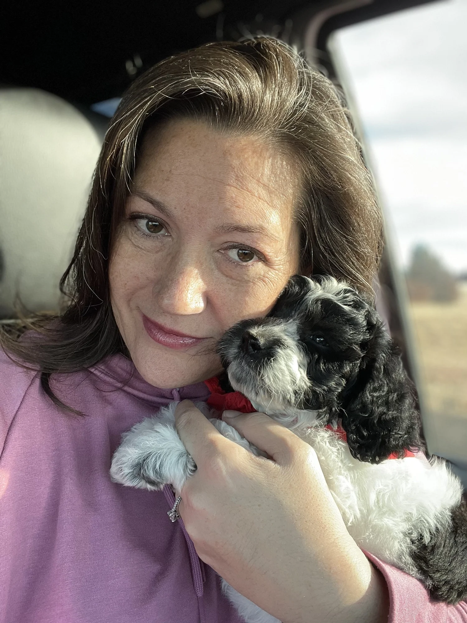 Can A Puppy Go Home At 6 Weeks