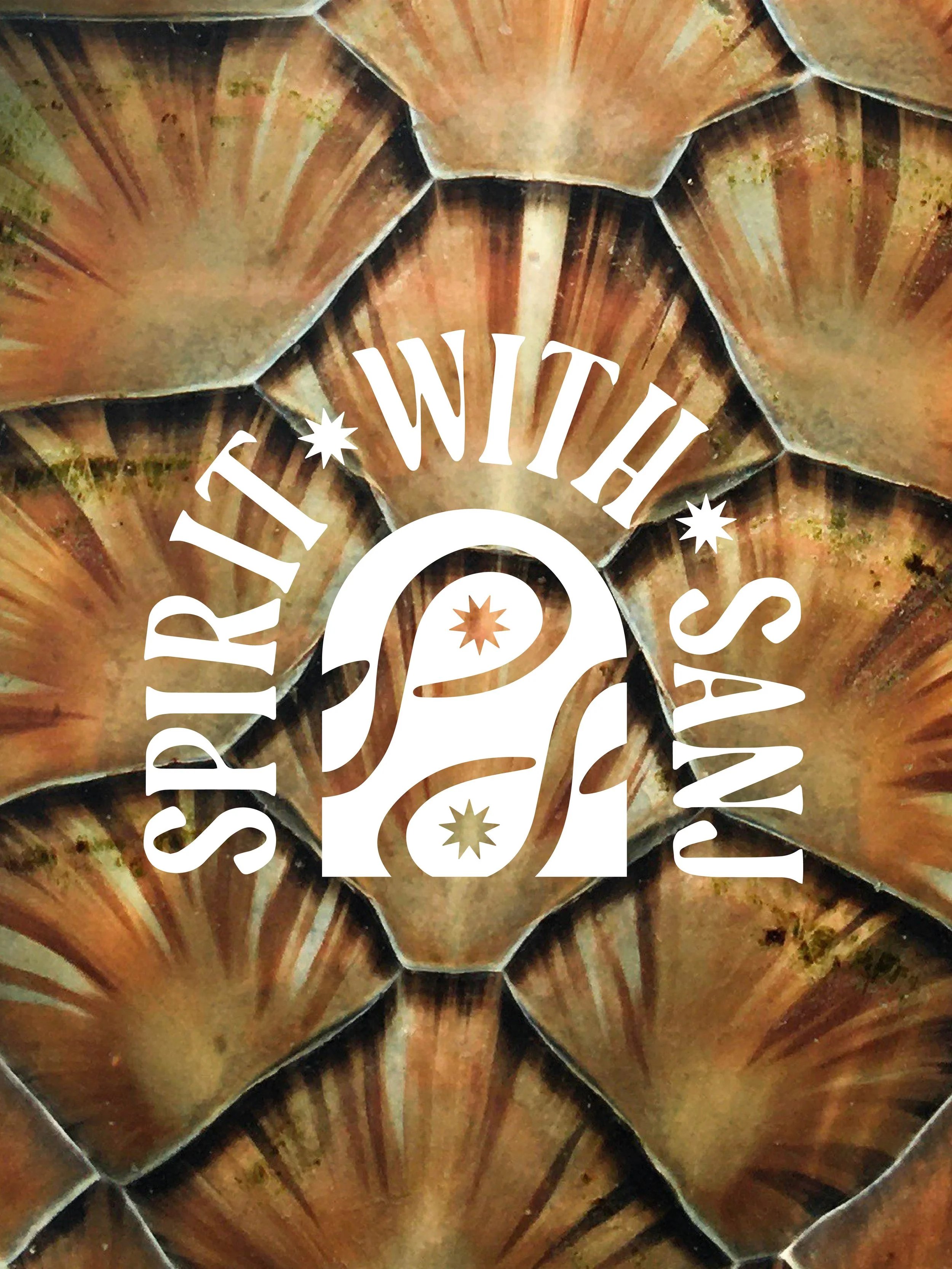 SWS_Branding_Insta_03.jpg