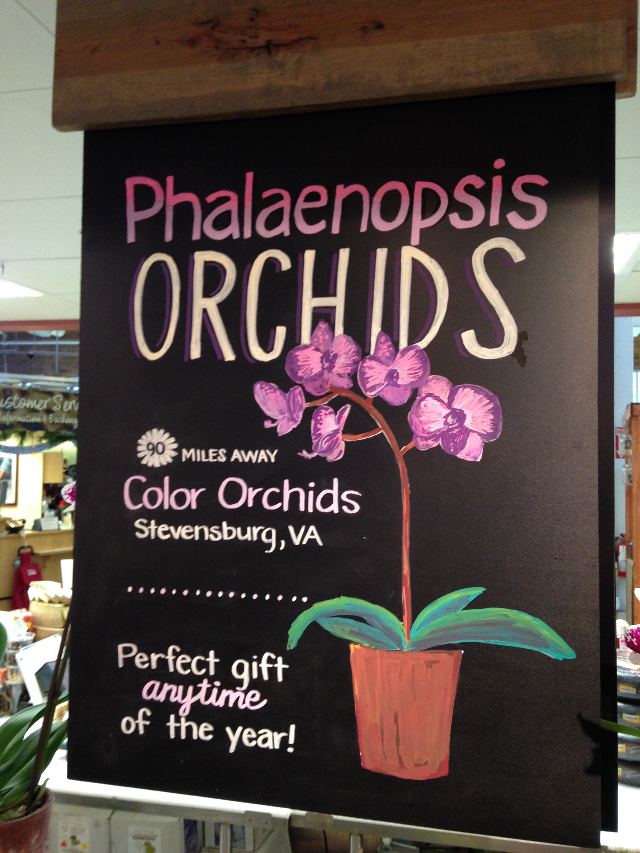 Blog_LaidOffTwice_WFM_Orchids.jpg